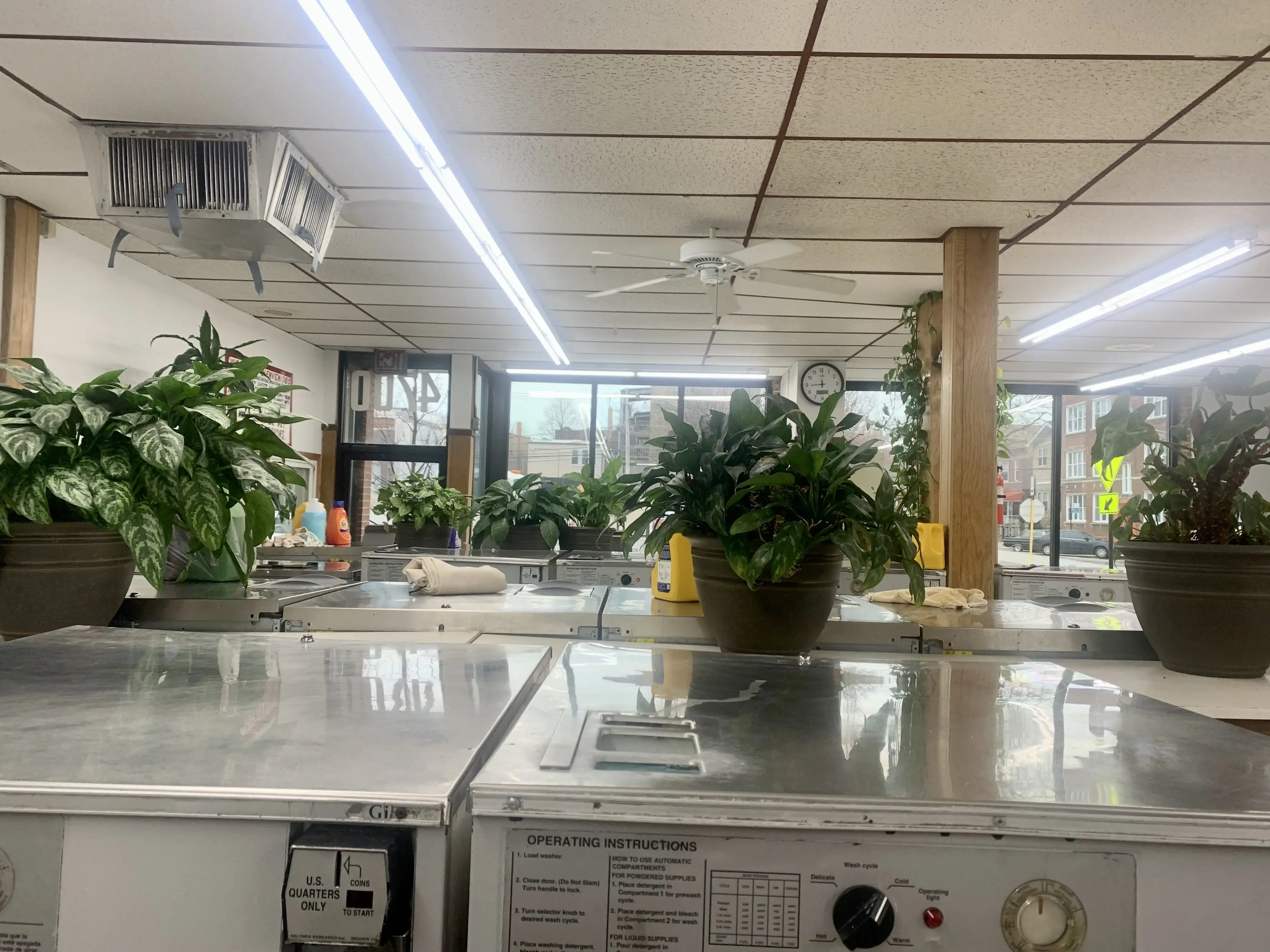 Clothes Pin - Image 4