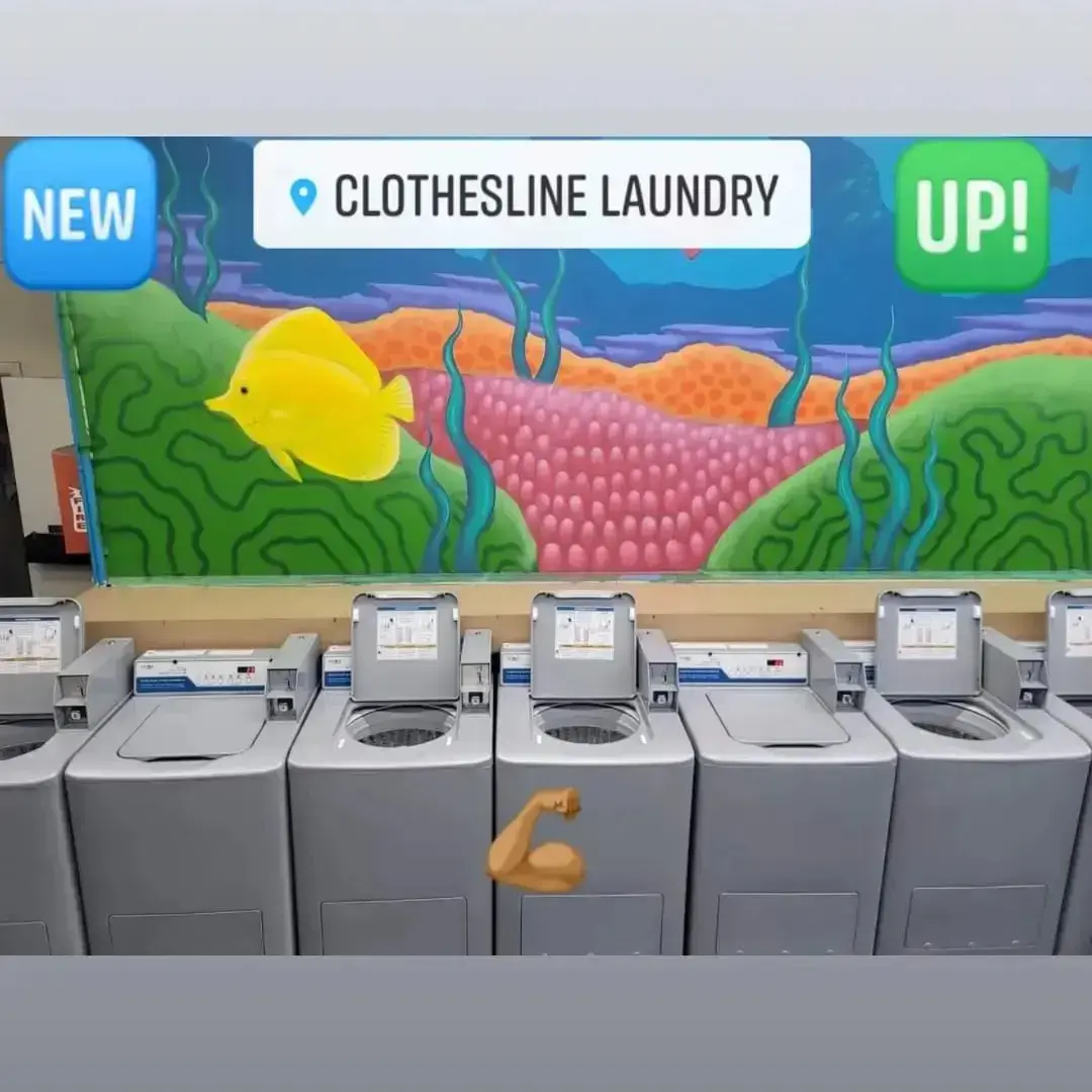 Clothesline Laundry thumbnail 6