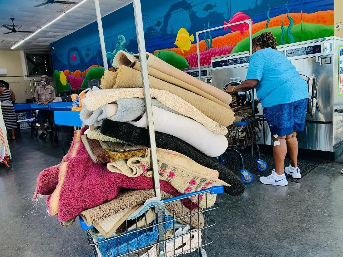 Clothesline Laundry thumbnail 10