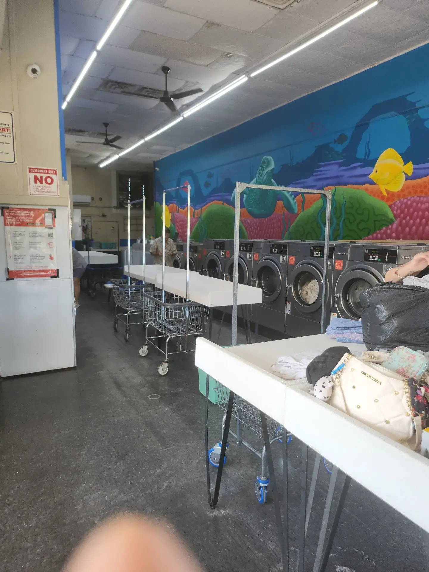 Clothesline Laundry thumbnail 2