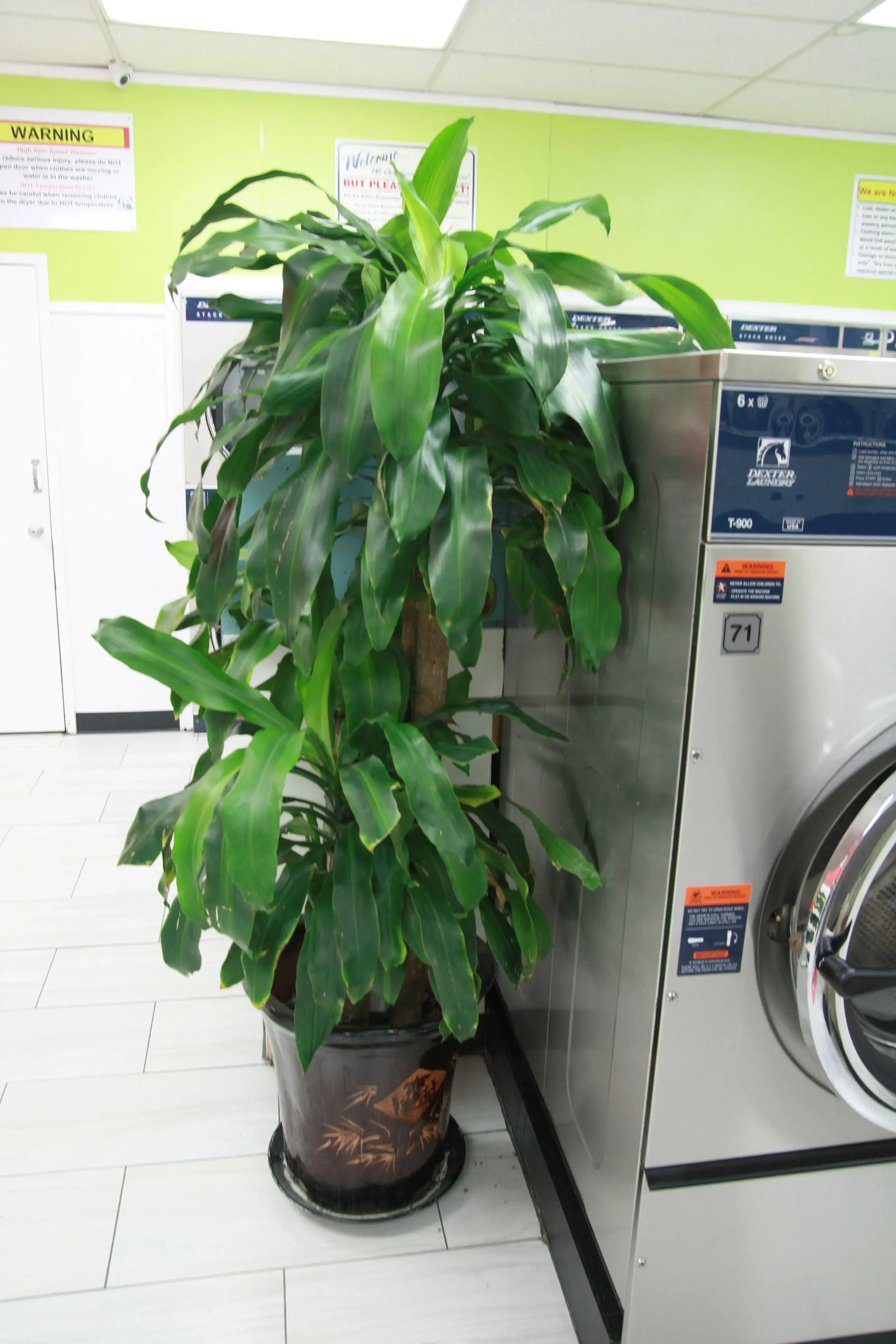 Clover Laundry Whittier - Image 9