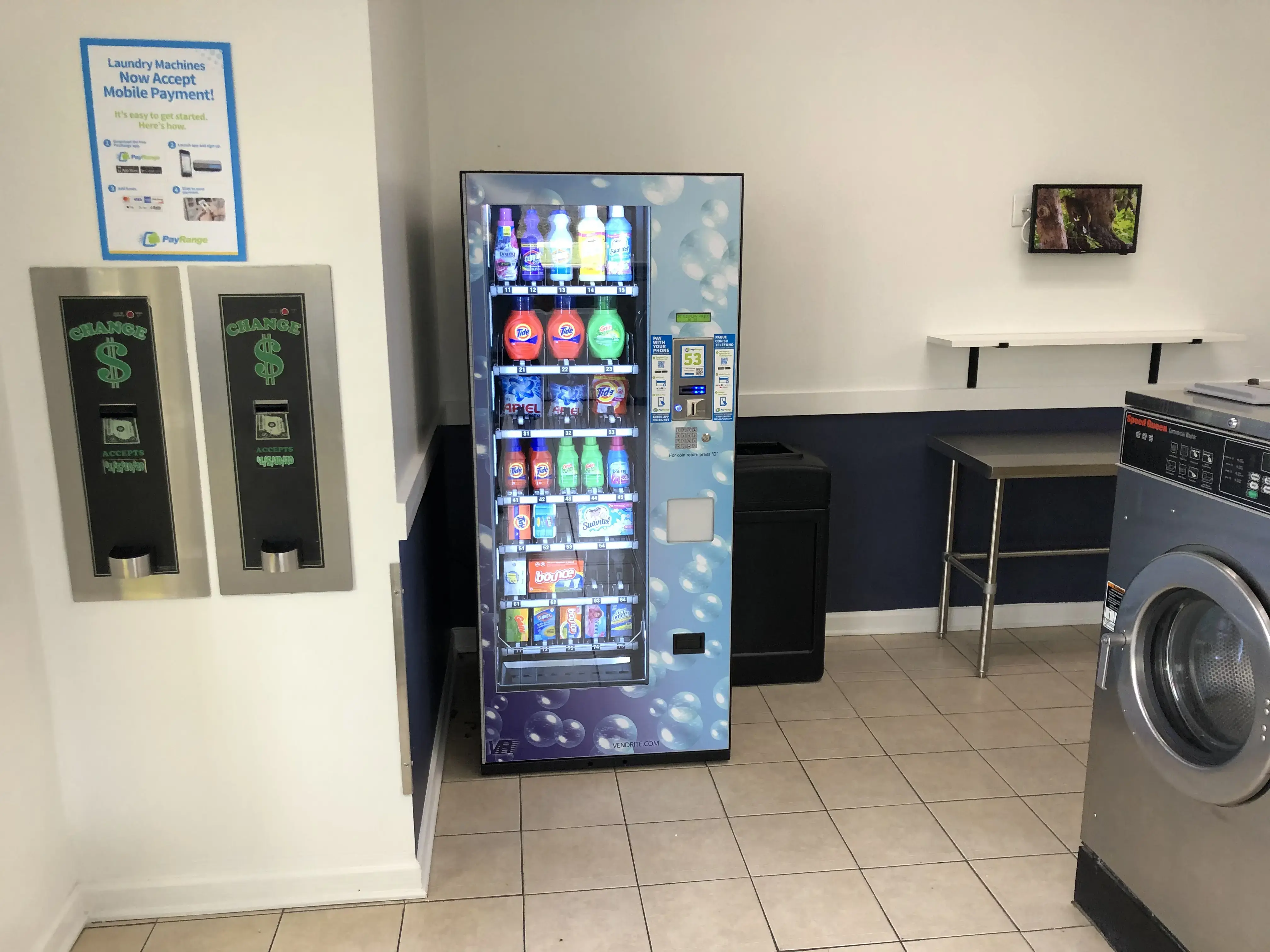 Club Laundromat - Image 5