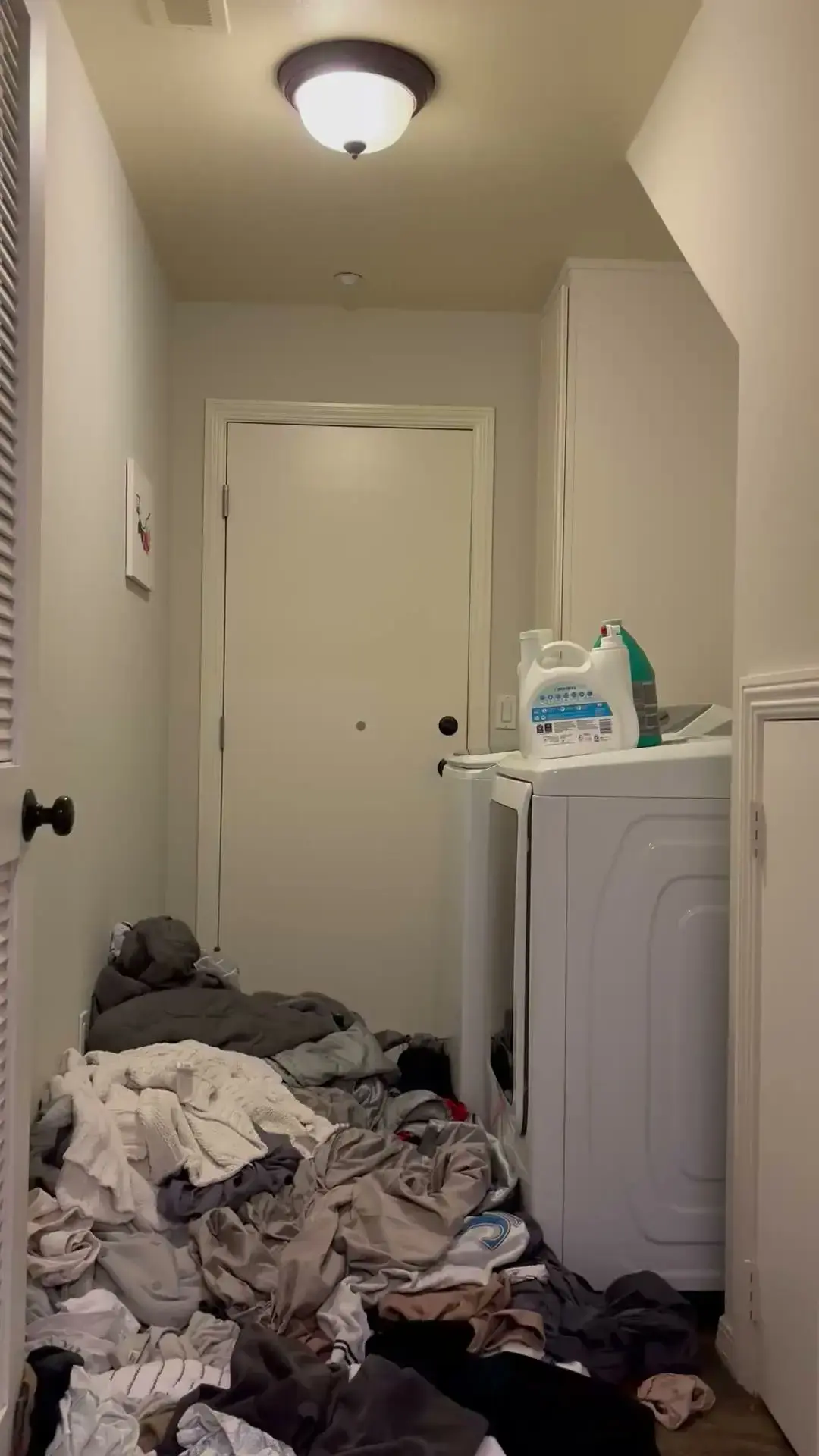 Coastal Laundry Pickup and Delivery Services thumbnail 2