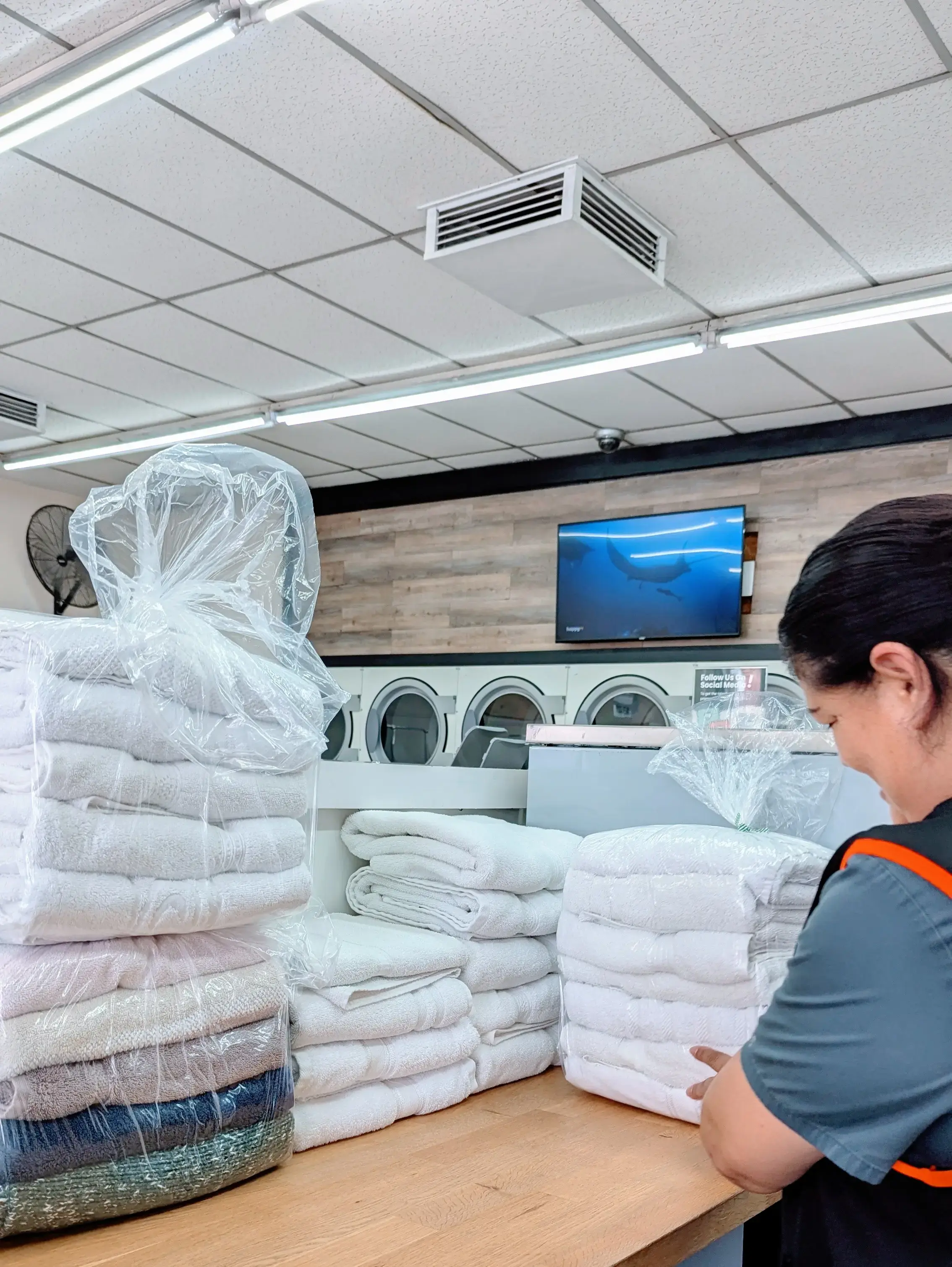 Coco Laundry - Laundromat, Wash & Fold - Image 7