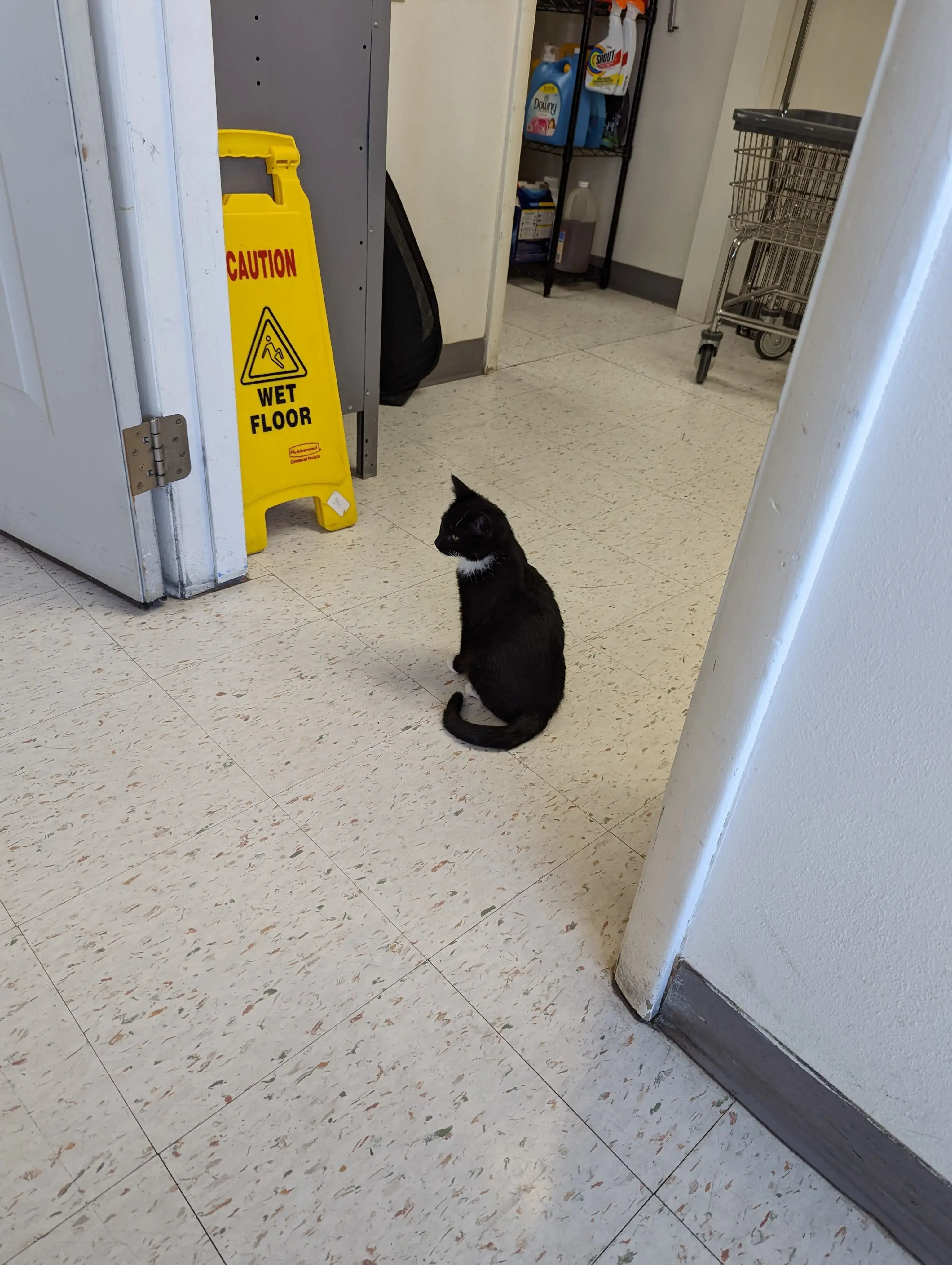 Cody's Laundromat - Image 13