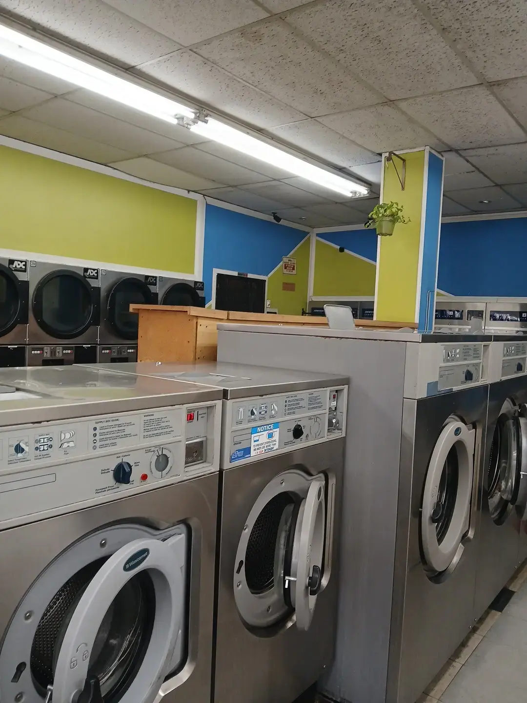 Coin Laundry CC Land - Image 4