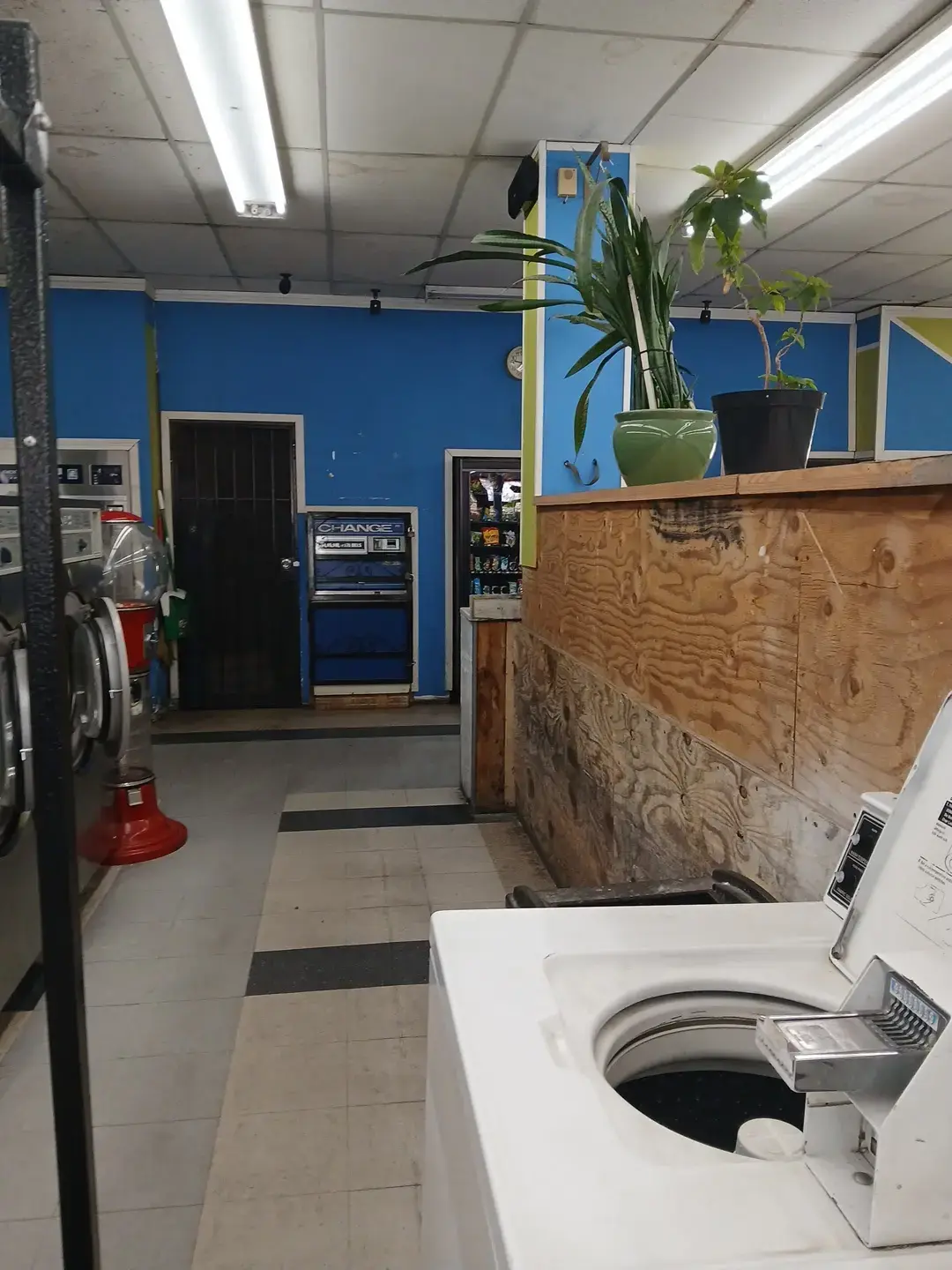 Coin Laundry CC Land thumbnail 1