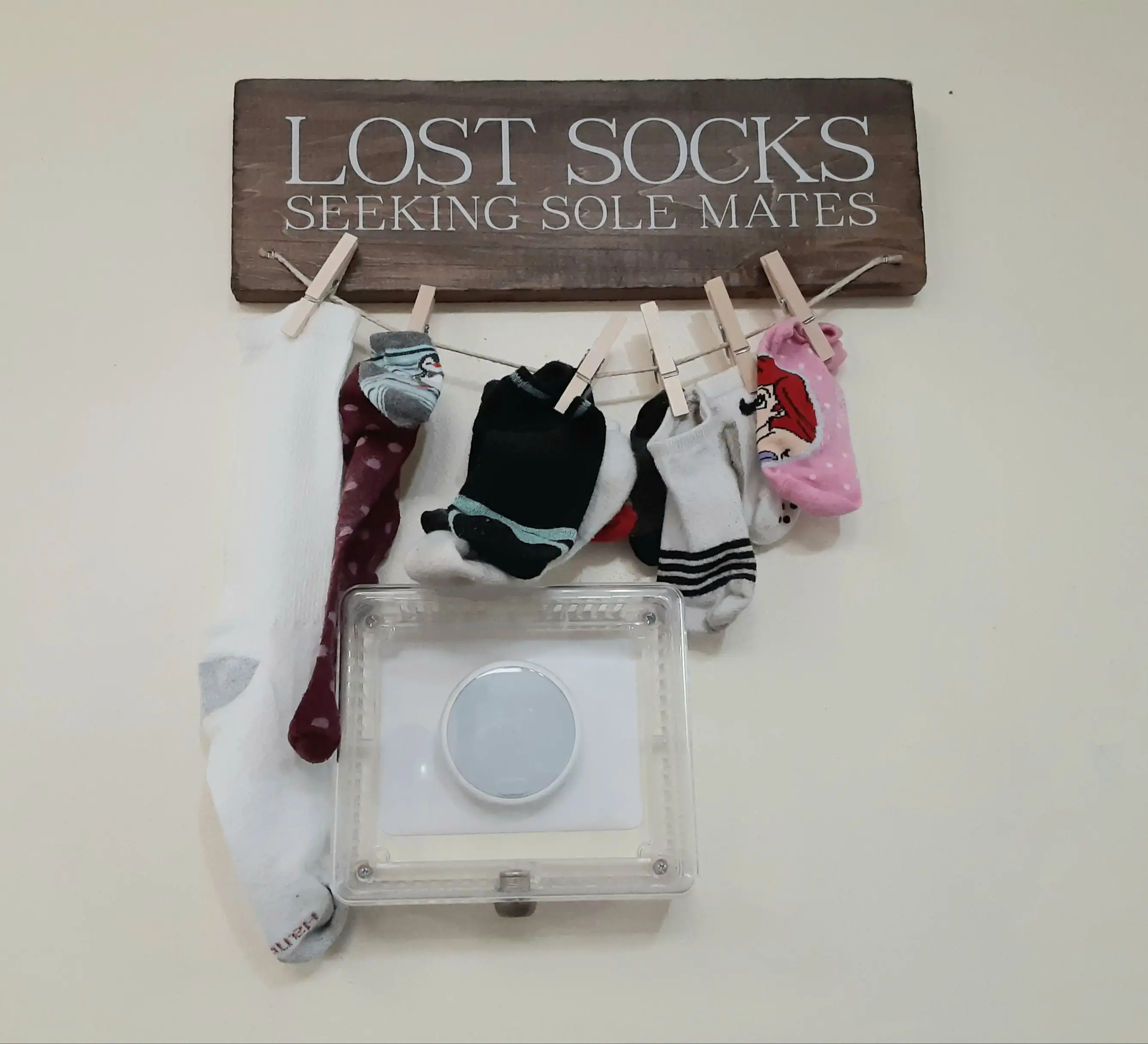 Coin Laundry Deerfield ''Deerfield LaundryMax" - Image 14