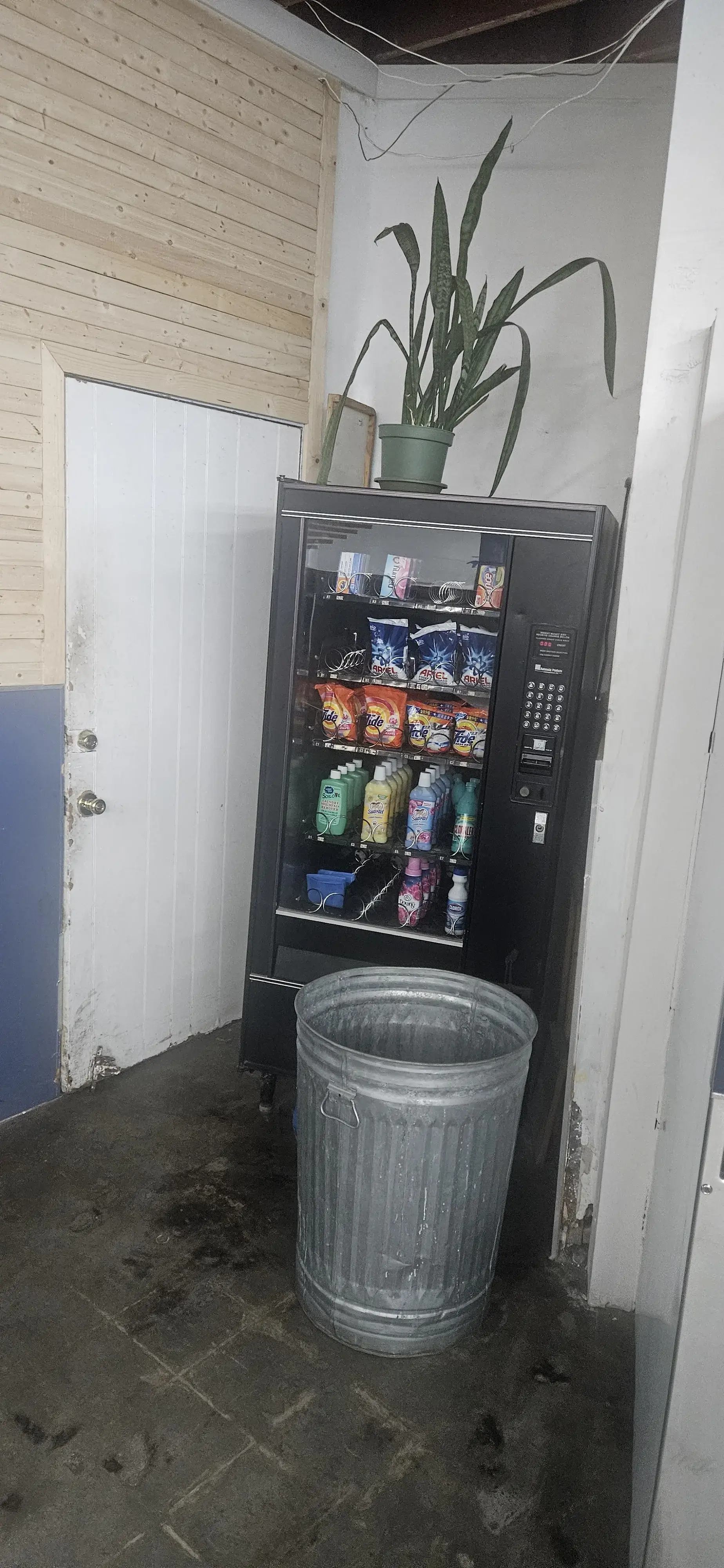 Coin Laundry - Image 14