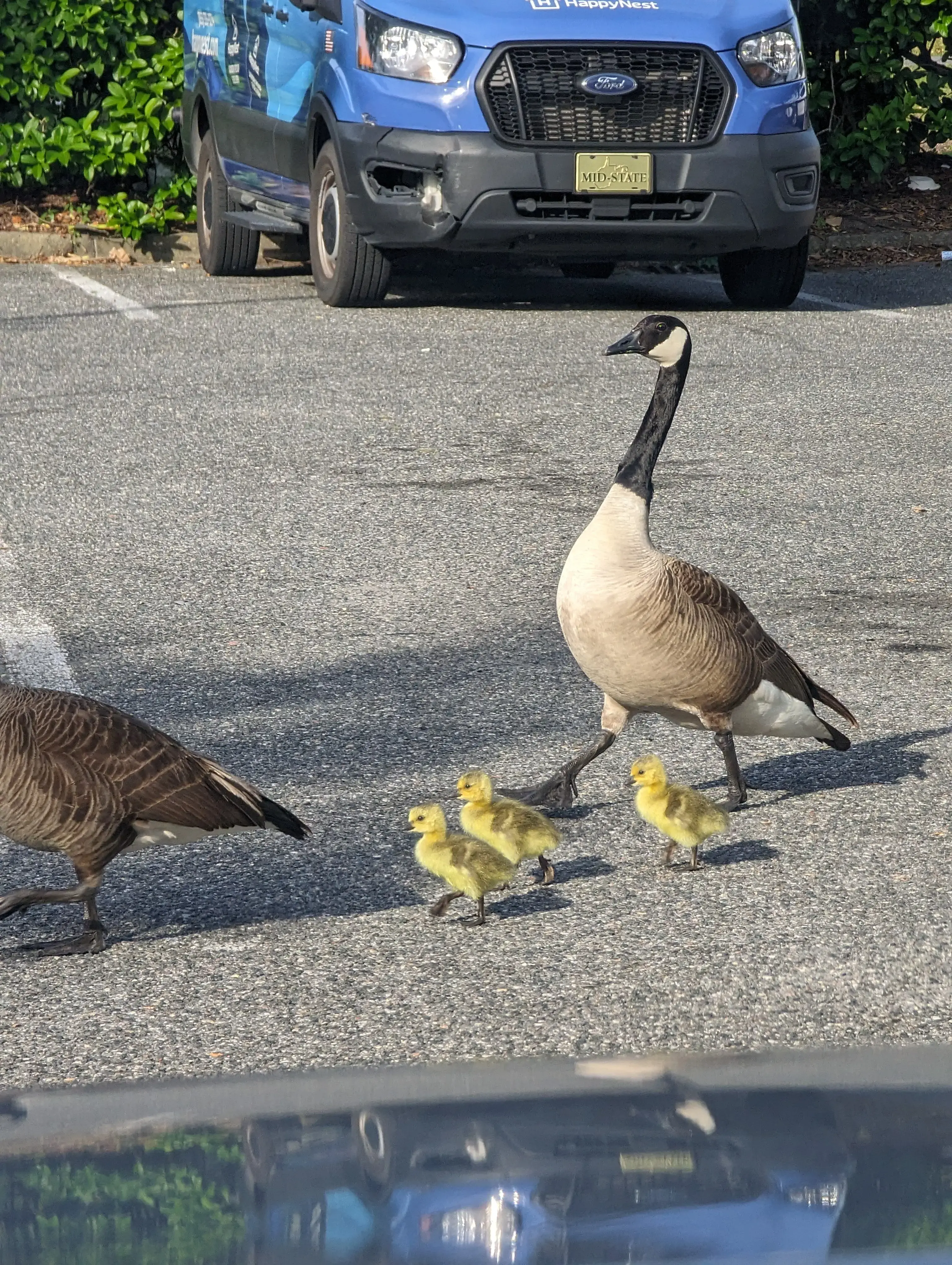 Coin Laundry - Image 3