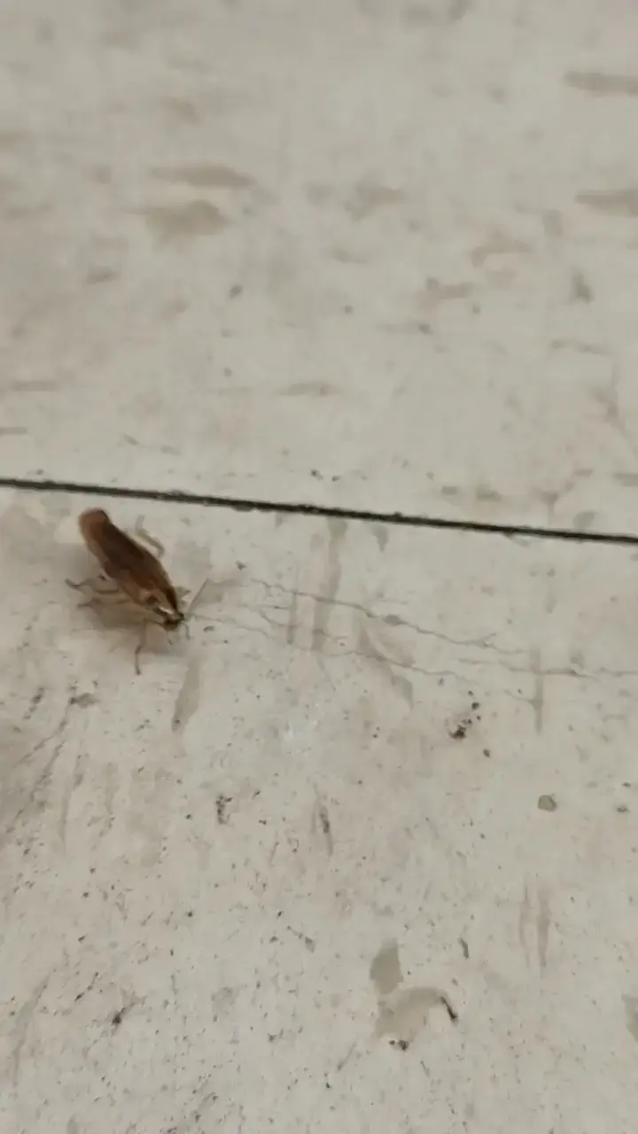 Coin laundry plaza - Image 2