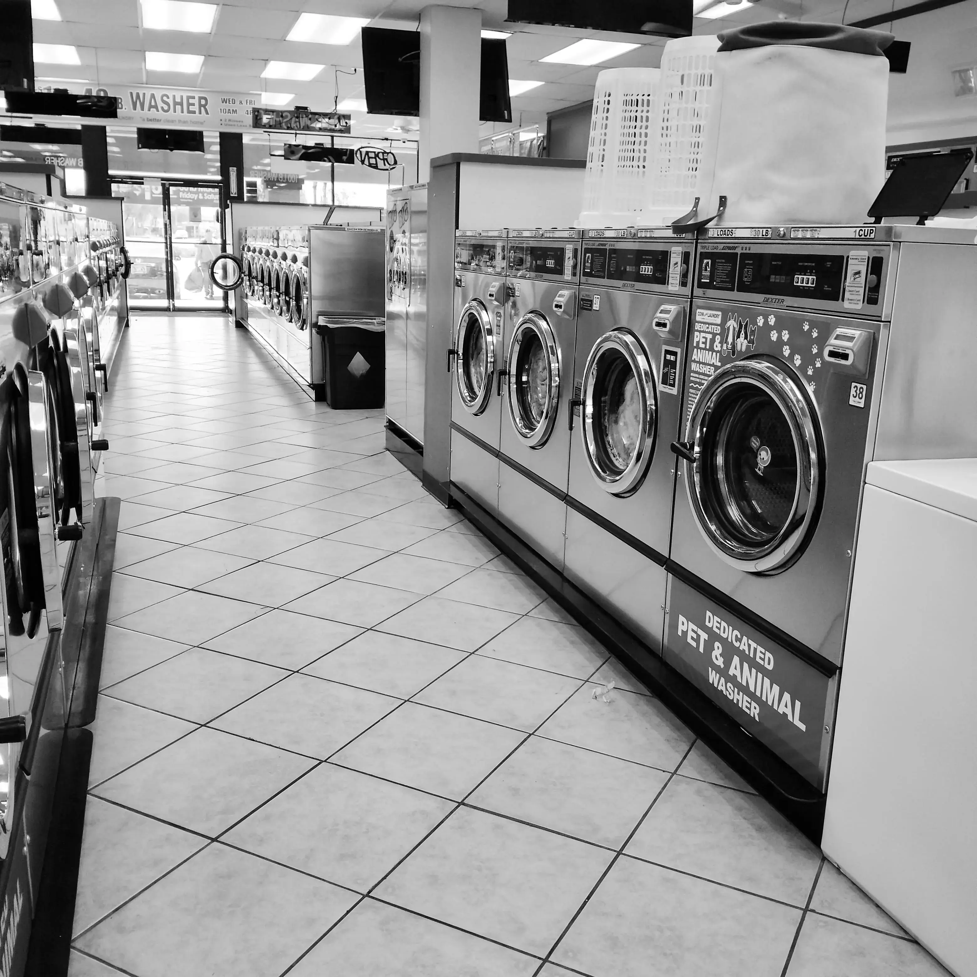 Coin Less Laundry - Image 15