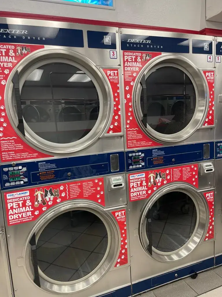 COIN Less LAUNDRY thumbnail 16