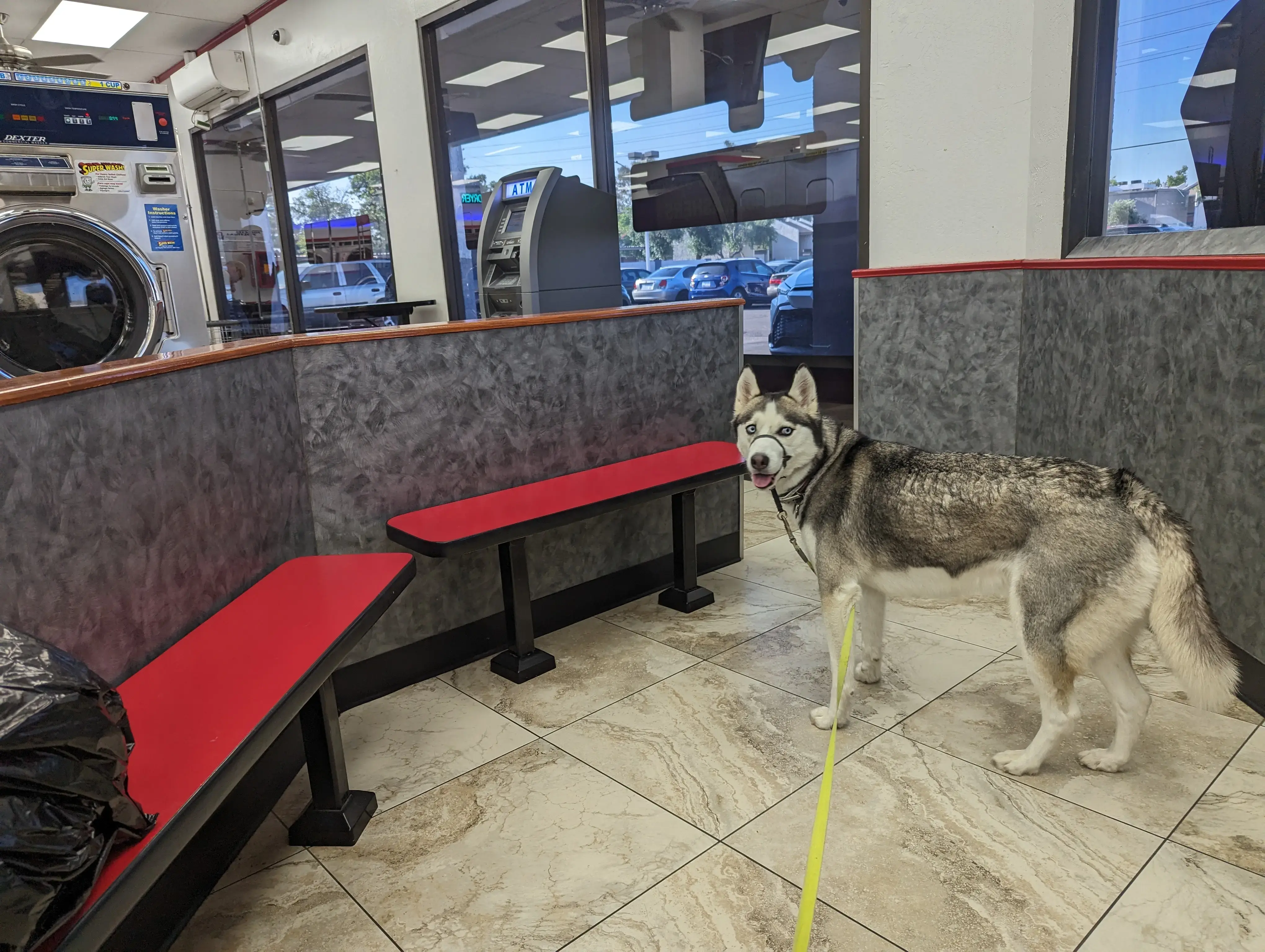 COIN Less LAUNDRY - Image 7