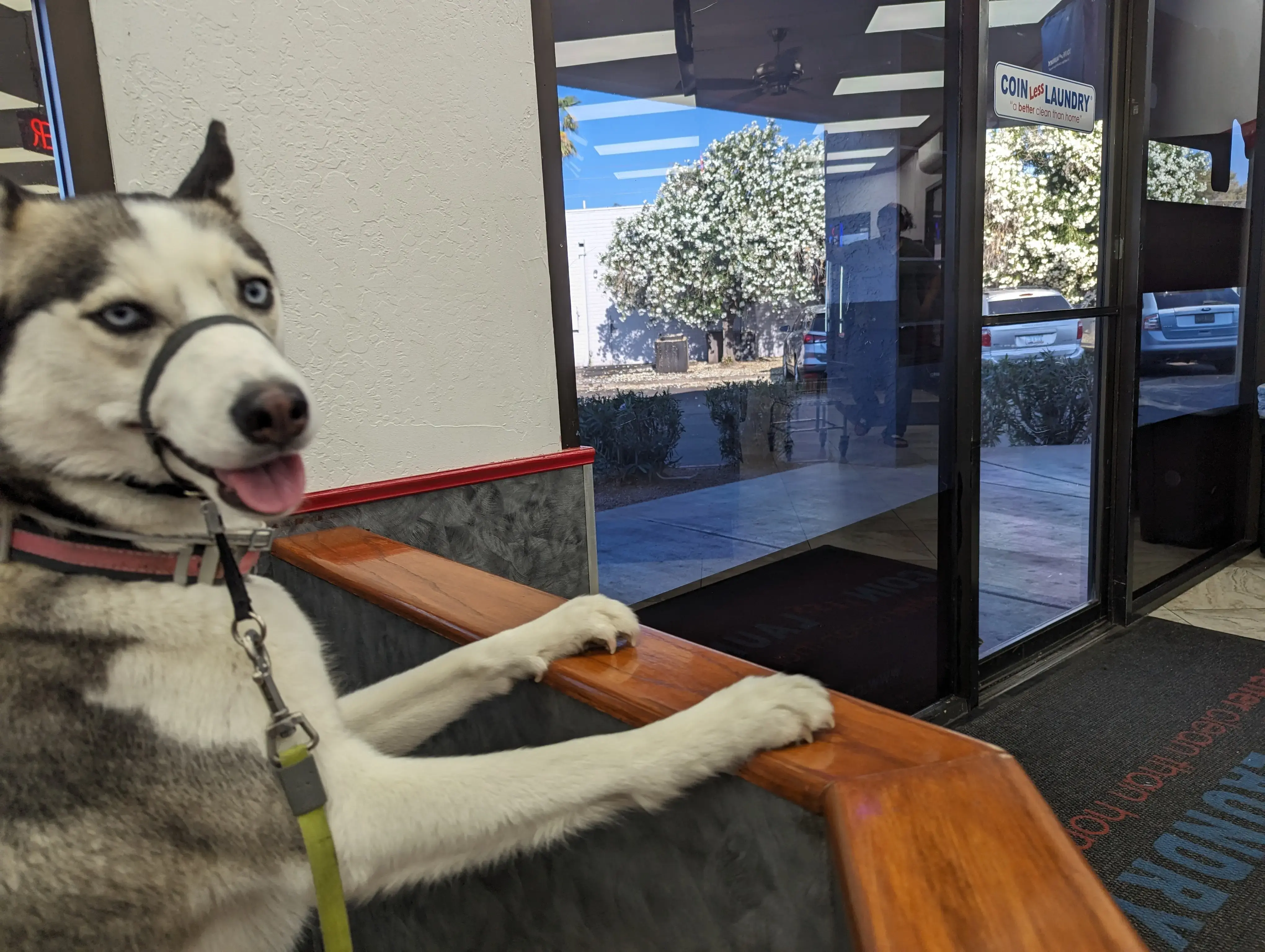 COIN Less LAUNDRY - Image 15