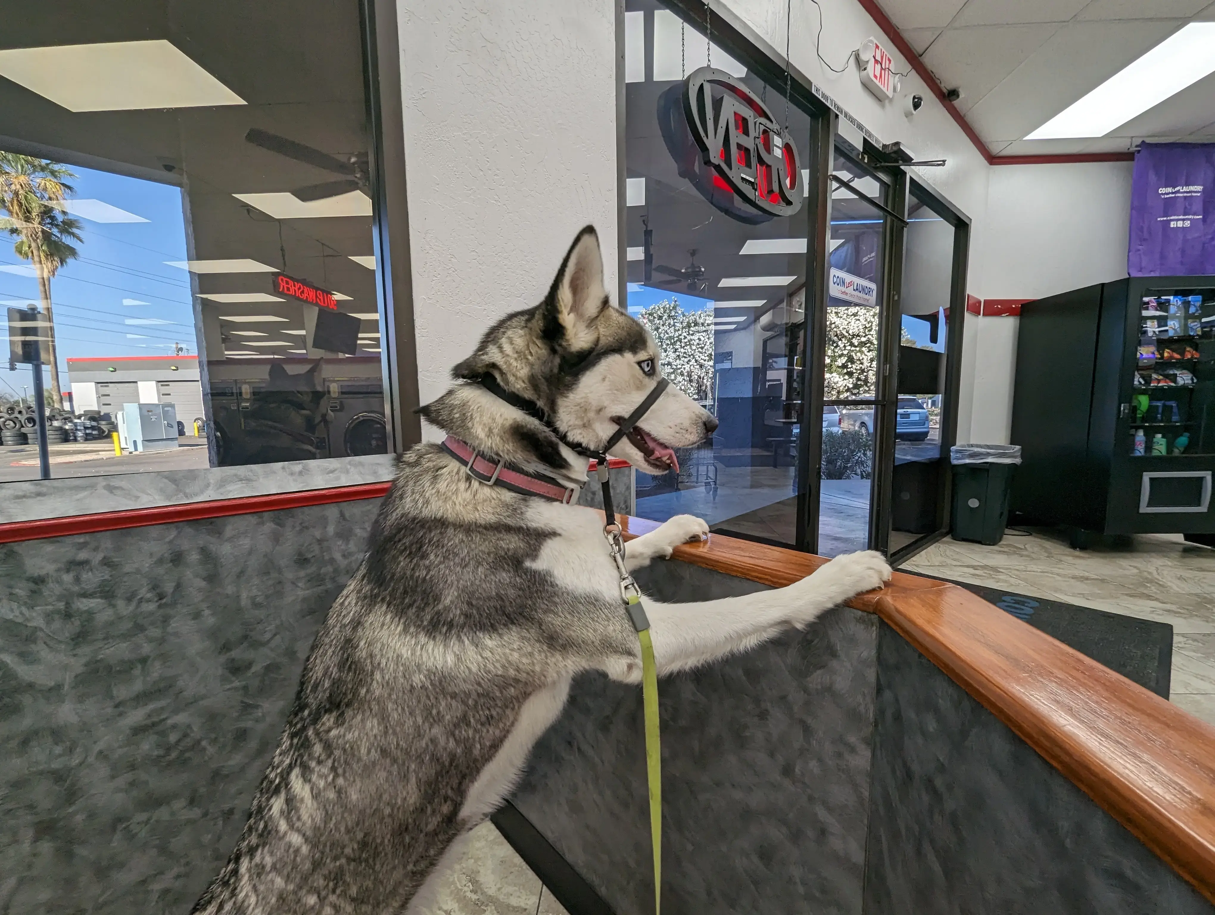 COIN Less LAUNDRY thumbnail 12