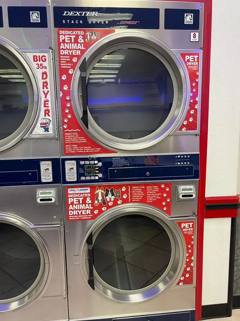 COIN Less LAUNDRY thumbnail 15