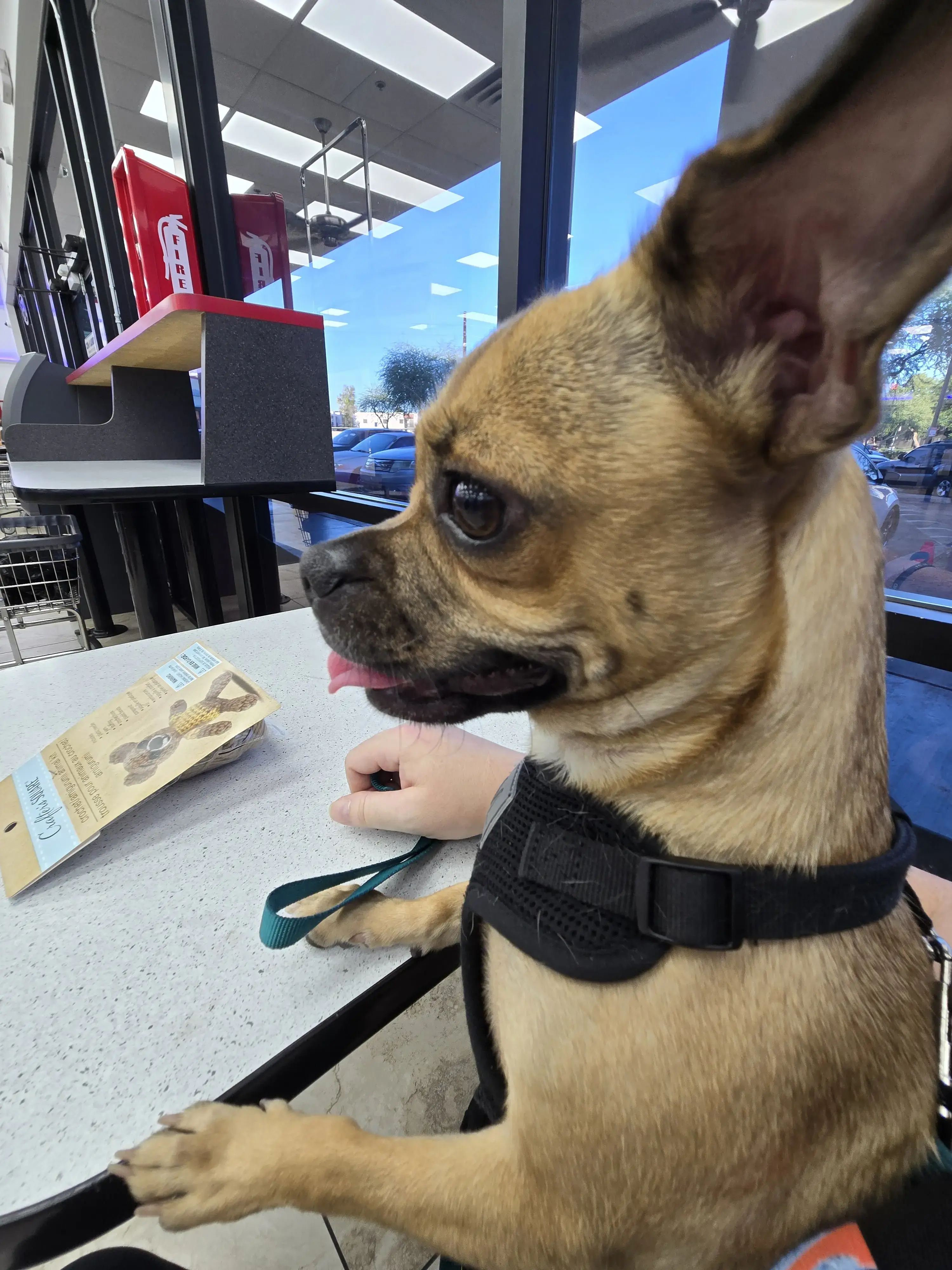 COIN Less LAUNDRY thumbnail 16