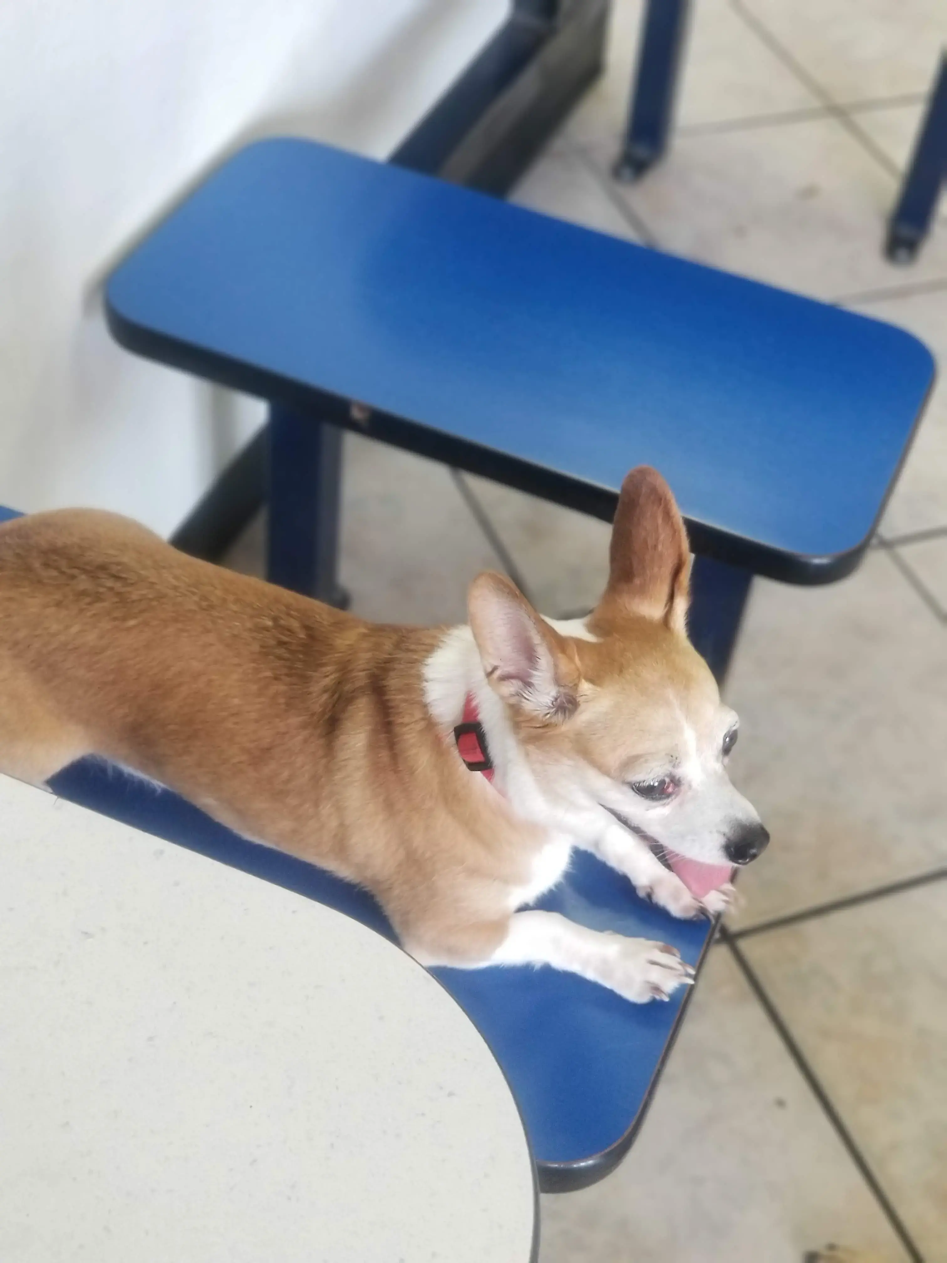 COIN Less LAUNDRY - Image 17