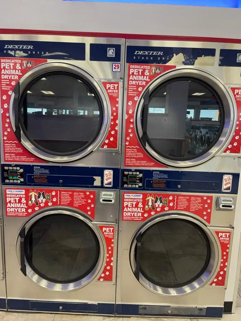 COIN Less LAUNDRY - Image 10