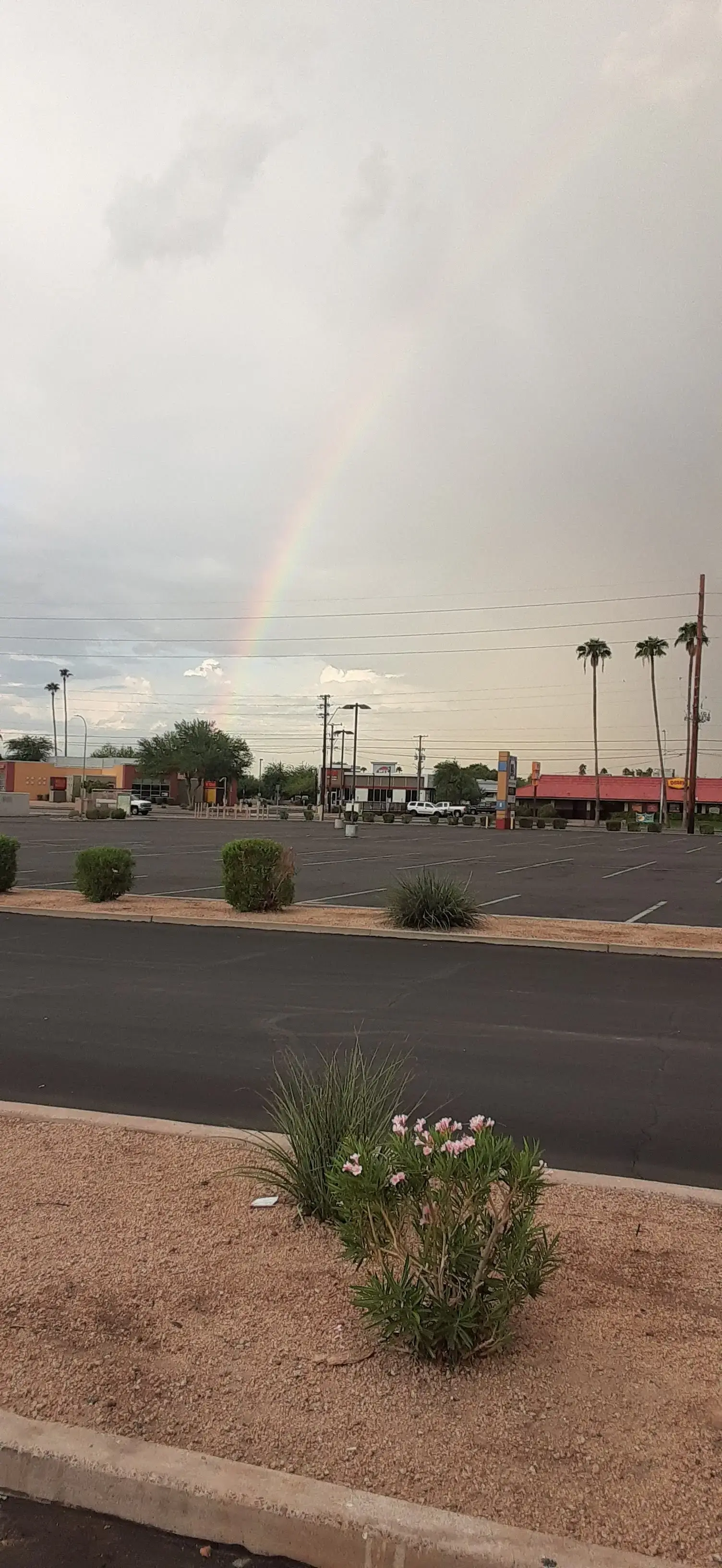 COIN Less LAUNDRY thumbnail 13