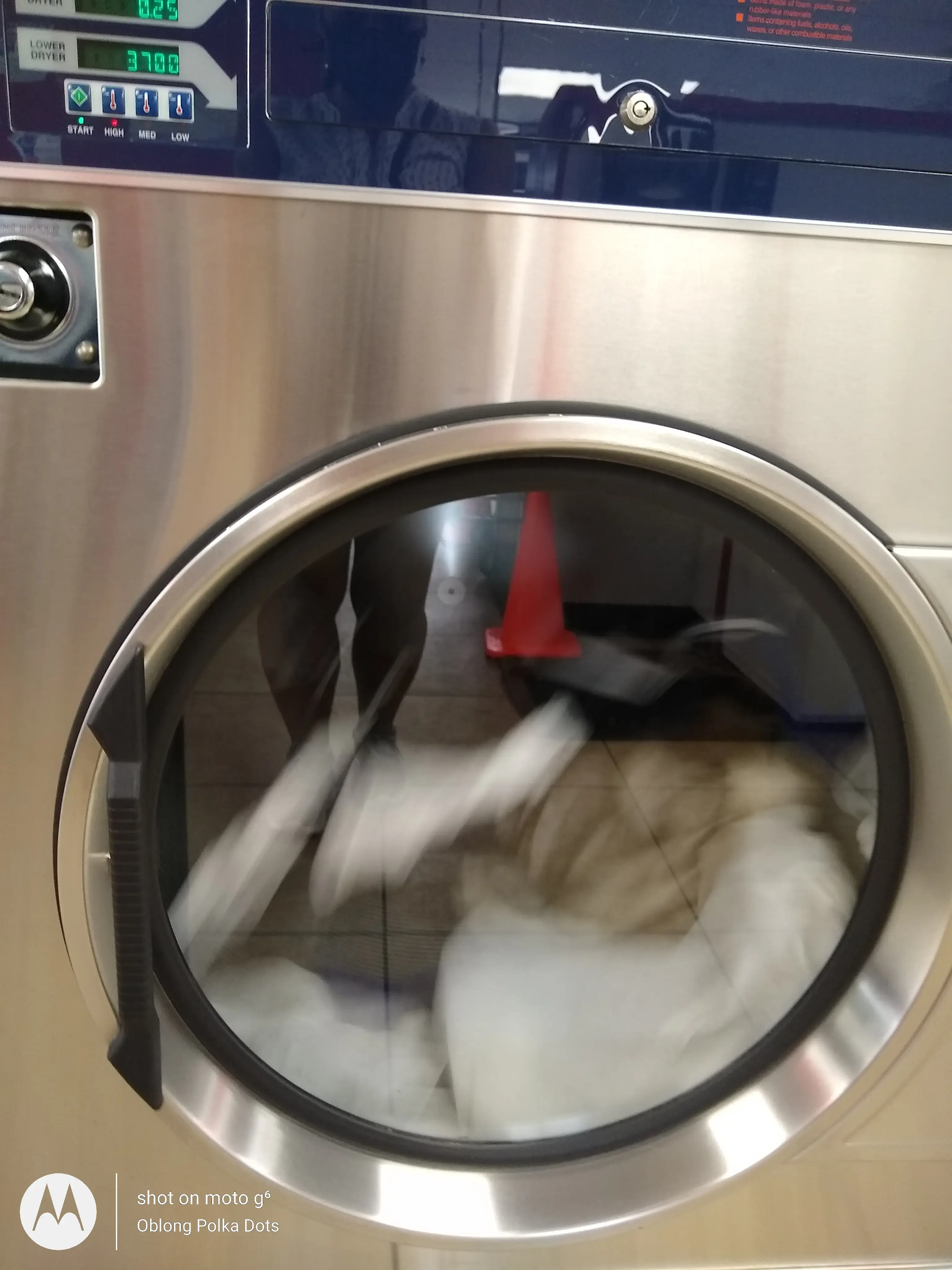 COIN Less LAUNDRY thumbnail 8
