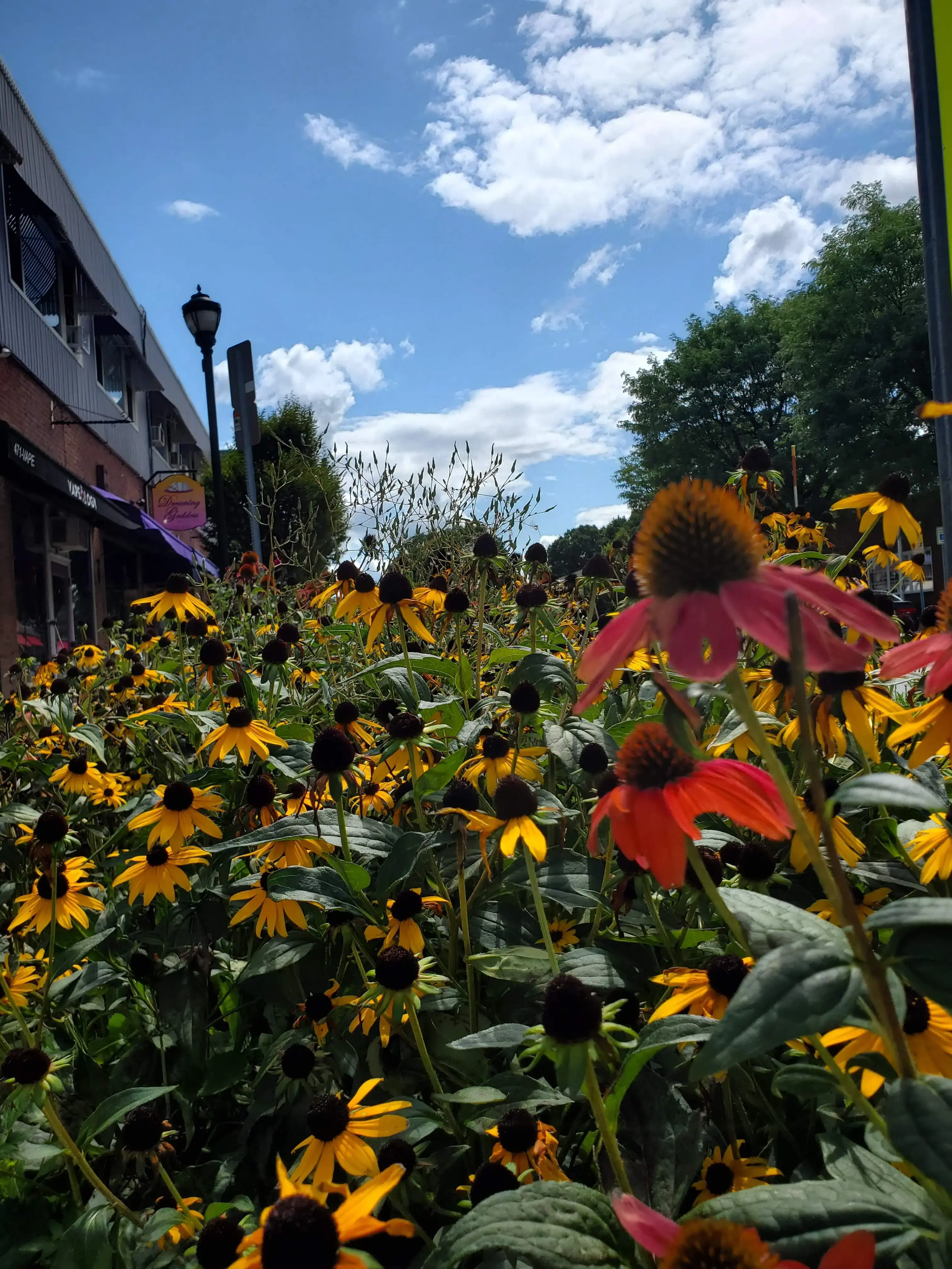 College Wash & Dry - Image 4