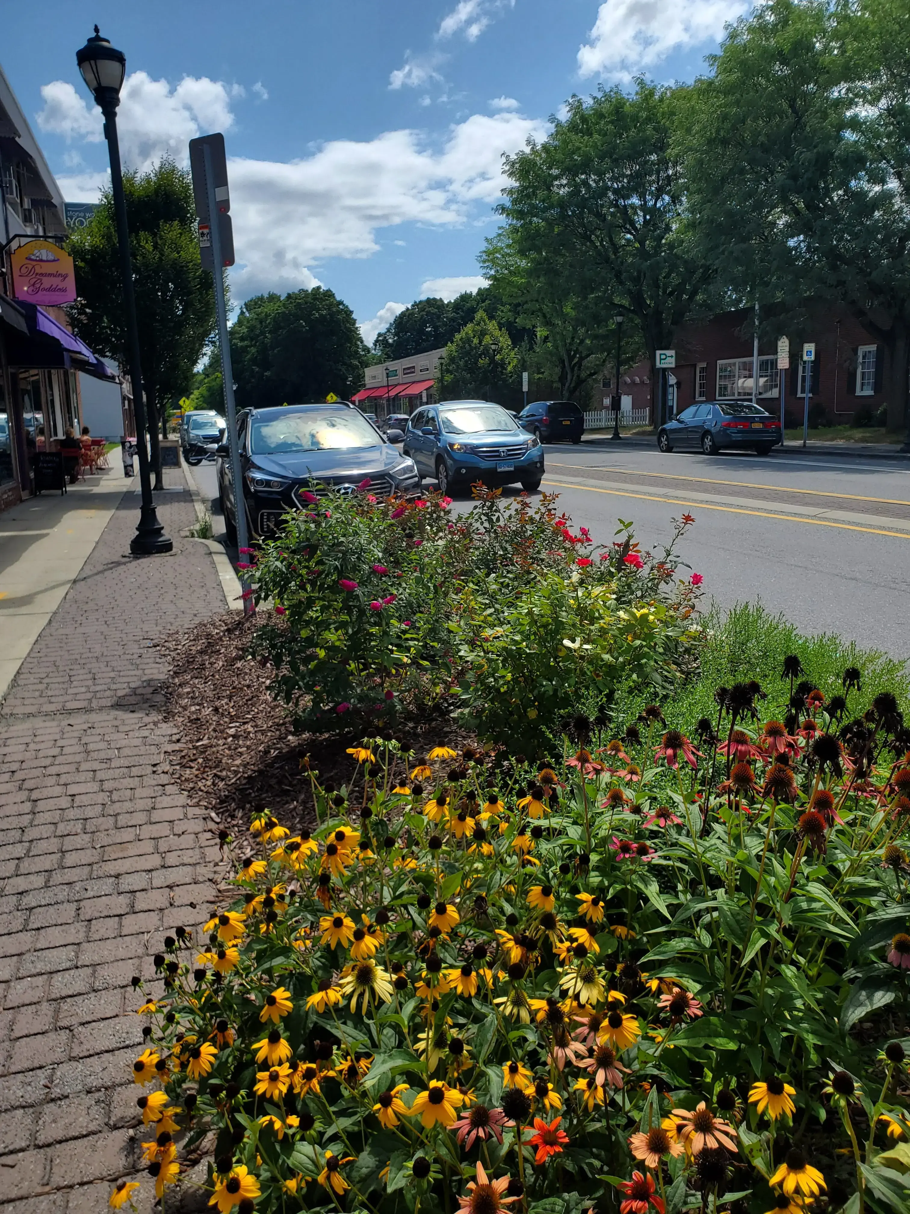 College Wash & Dry thumbnail 1