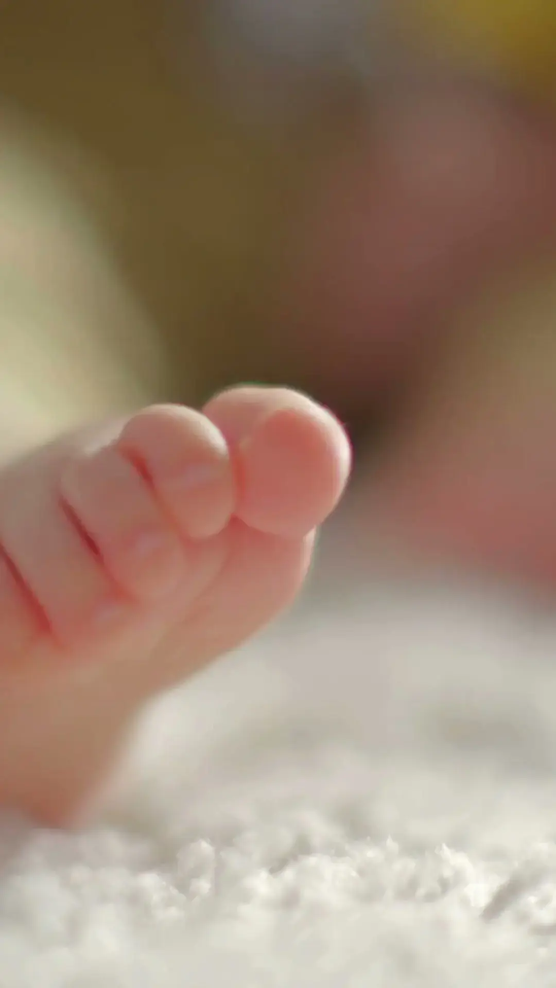 Collins Cleaners @ Longcreek thumbnail 14