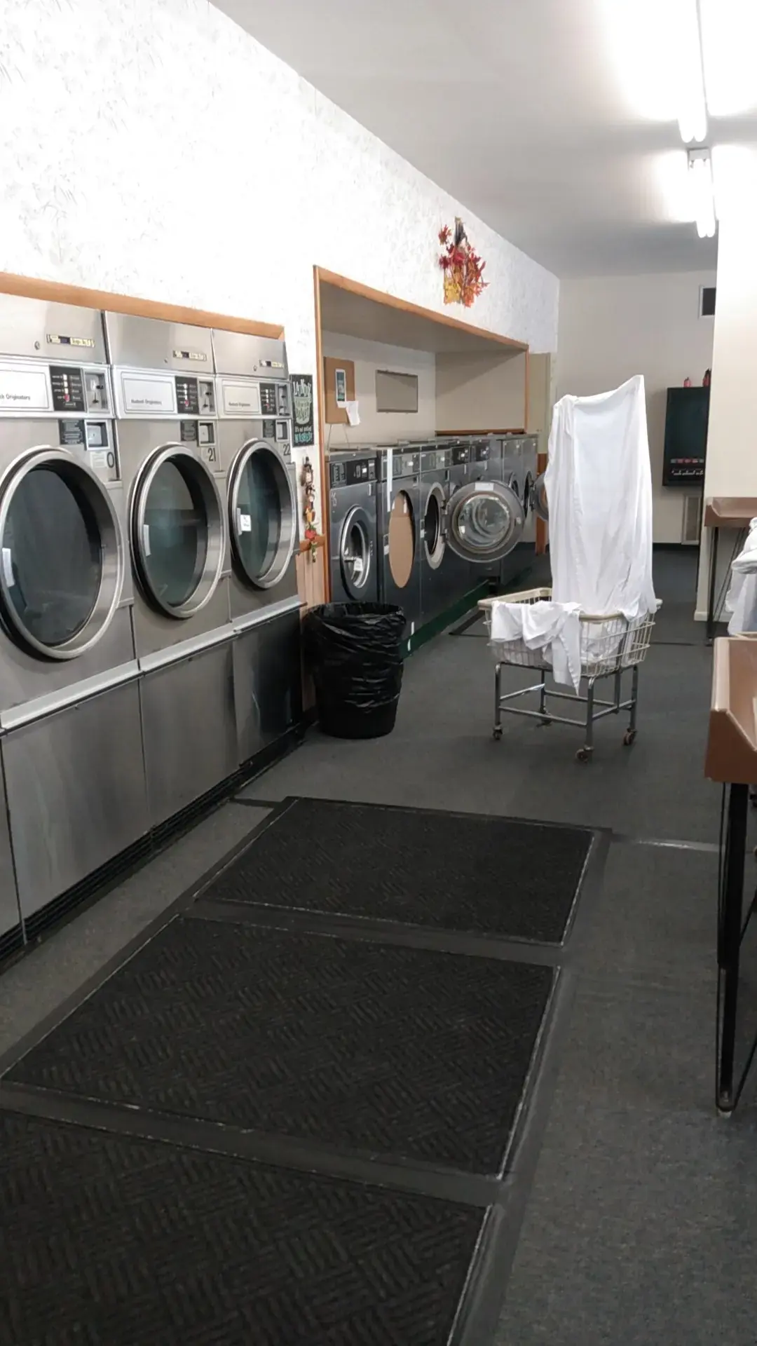 Coloma Wash & Dry - Image 11