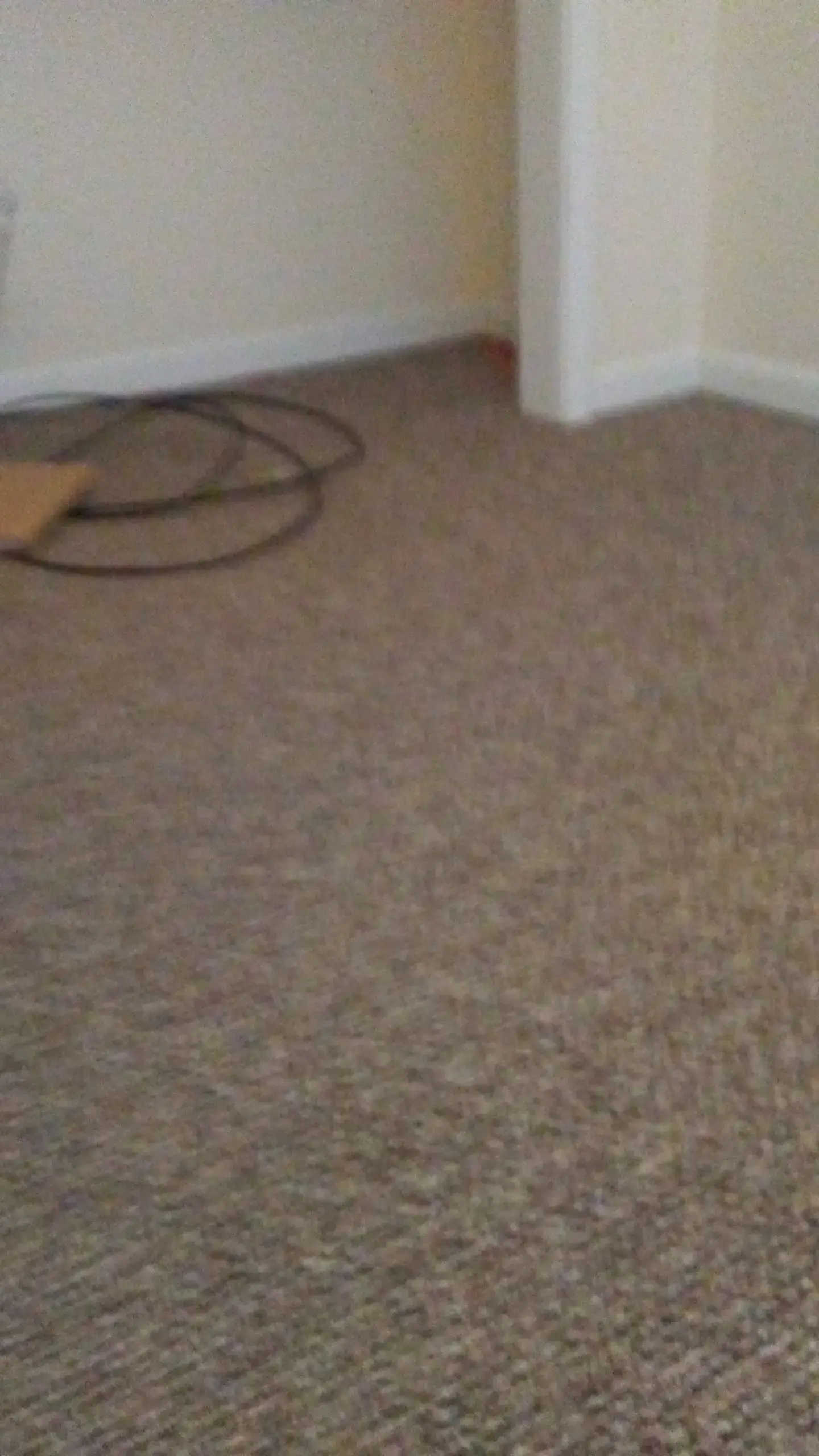 Coloma Wash & Dry - Image 5