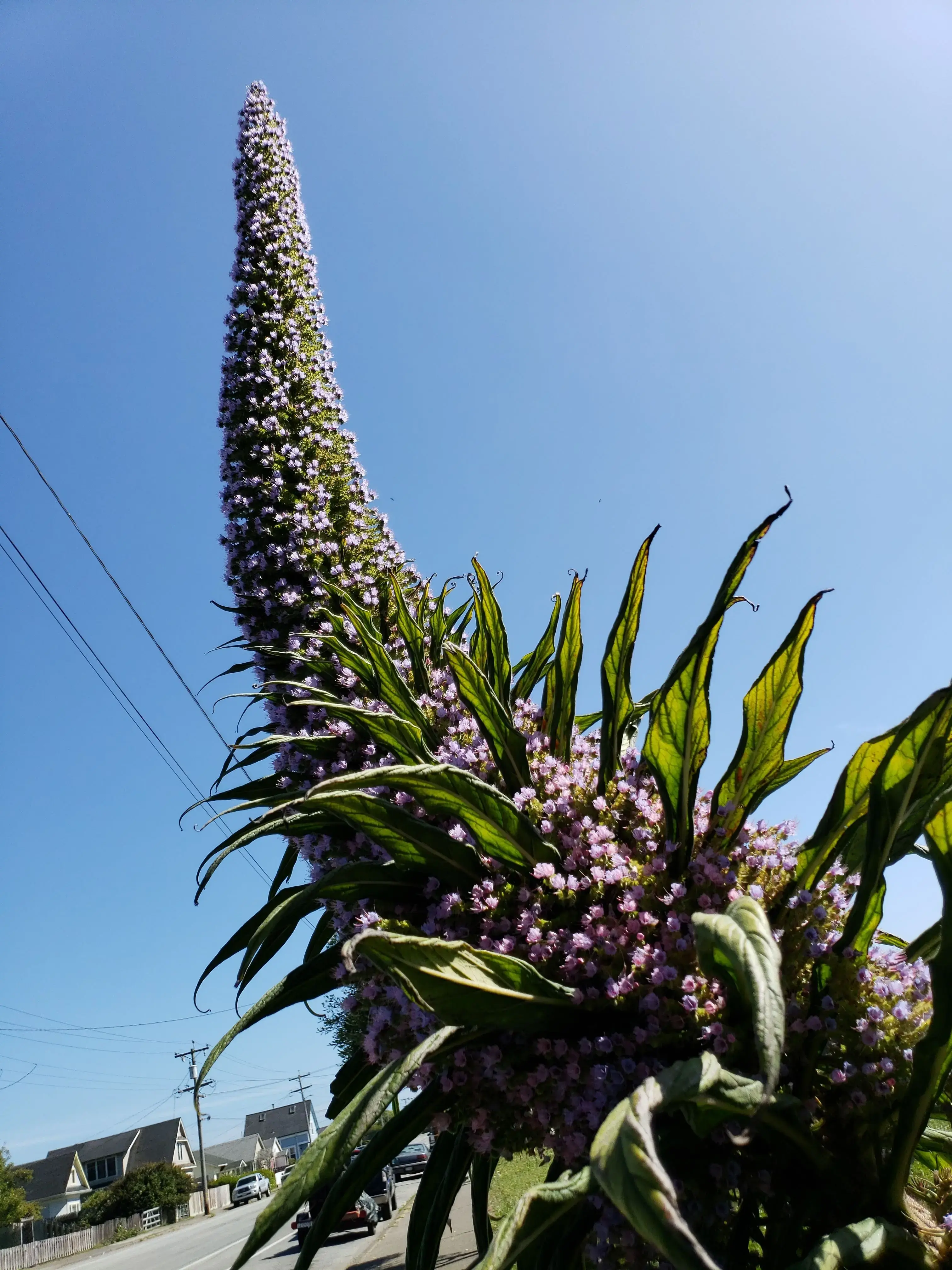 Colombi laundromat - Image 9