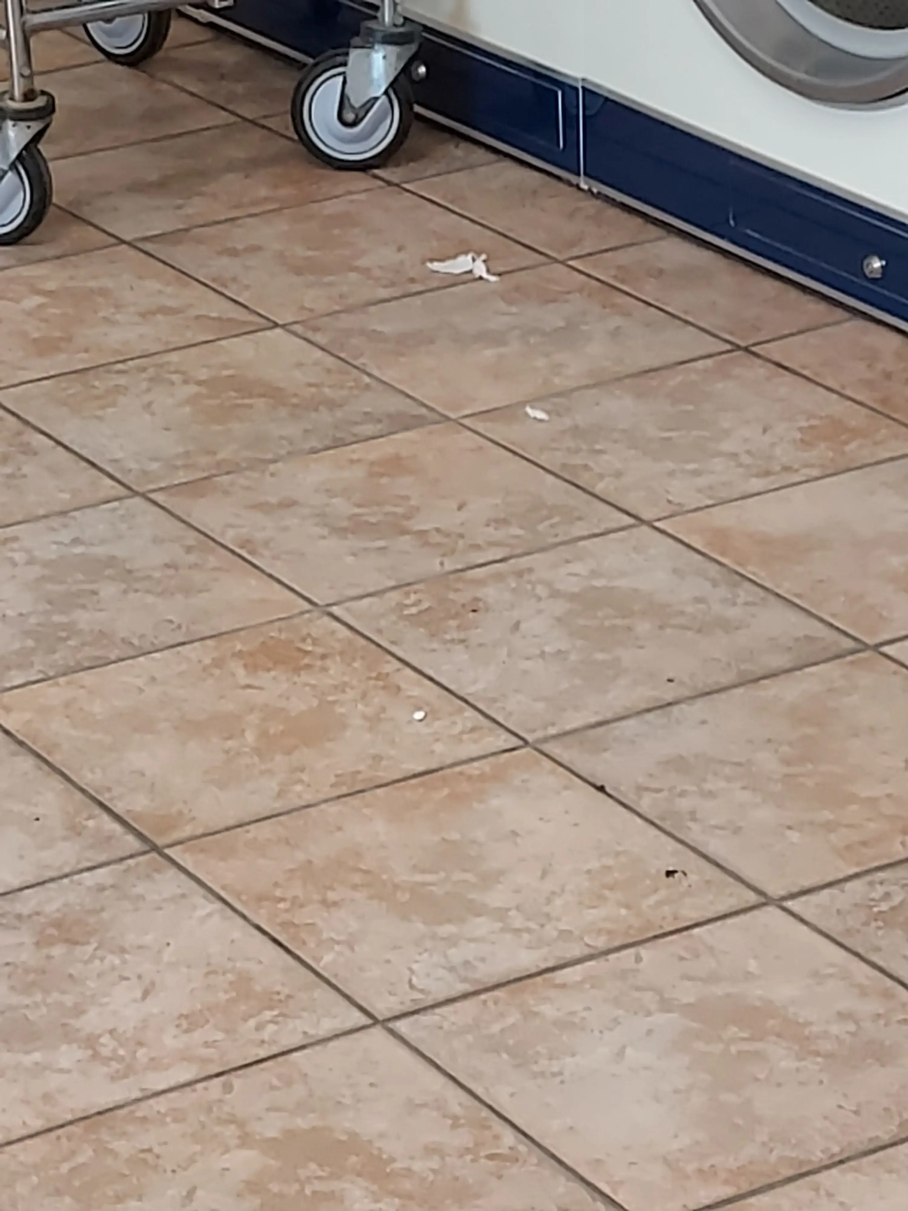 Colonial Laundromat thumbnail 5