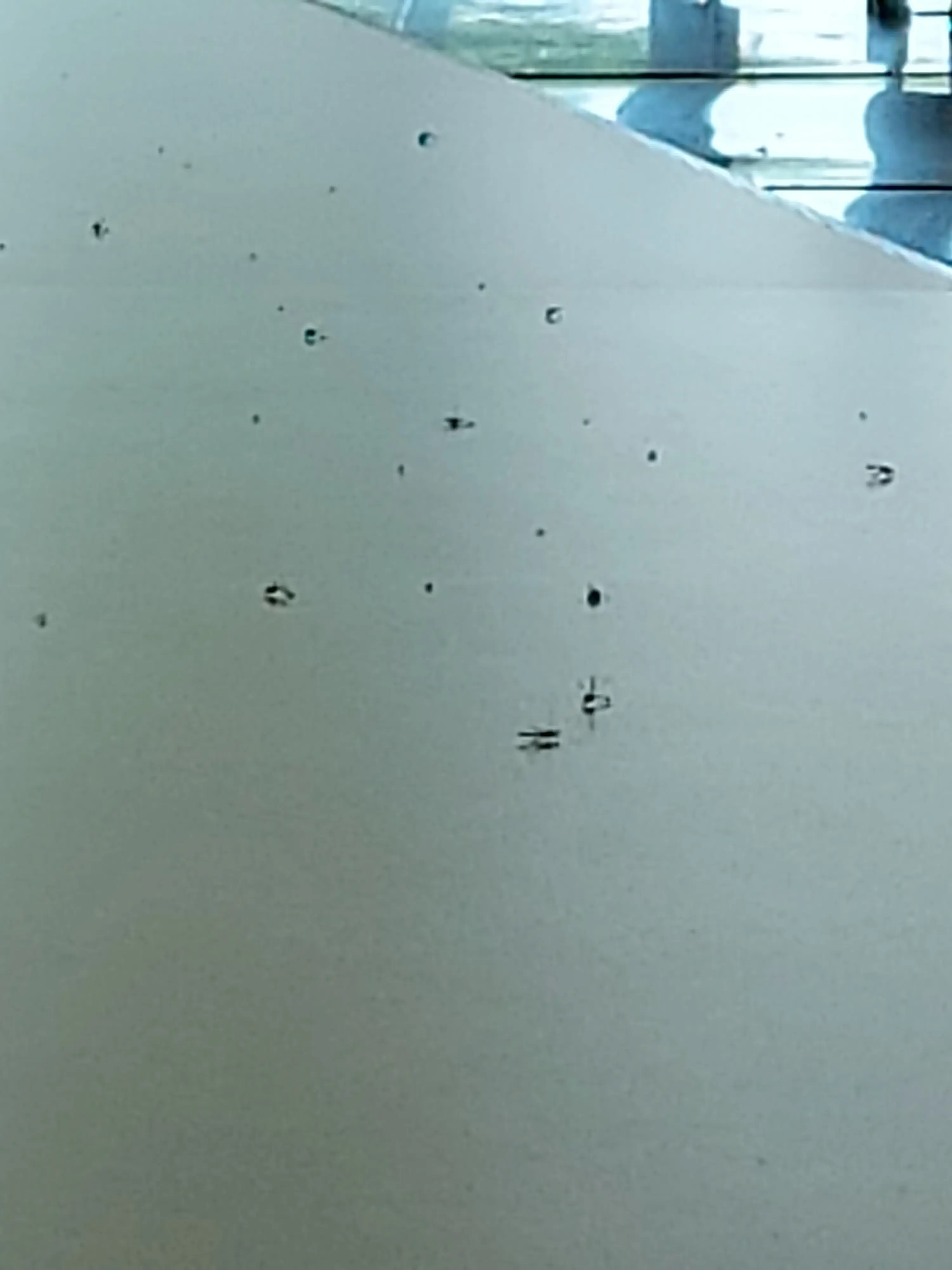 Colonial Laundromat - Image 7