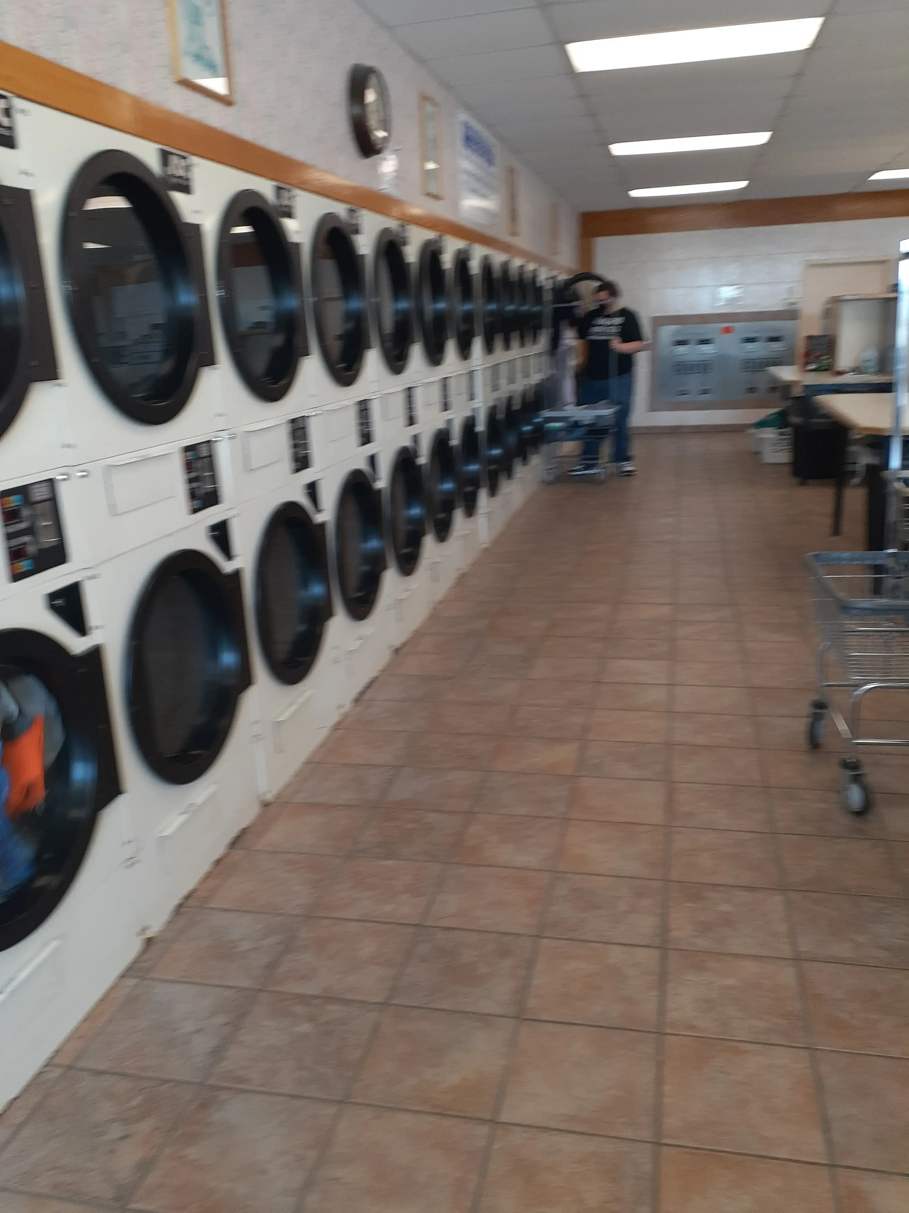 Colonial Laundromat thumbnail 6