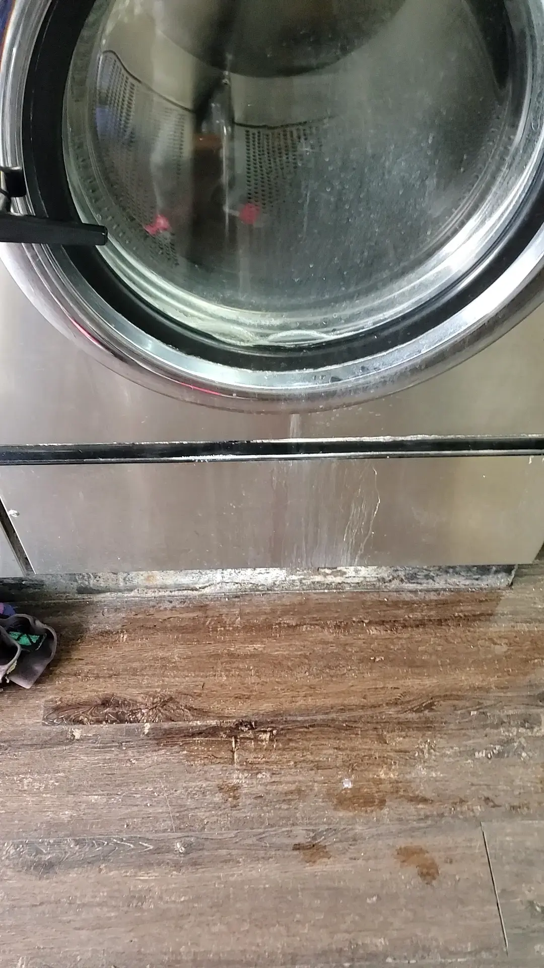 ColorBright Laundry thumbnail 9