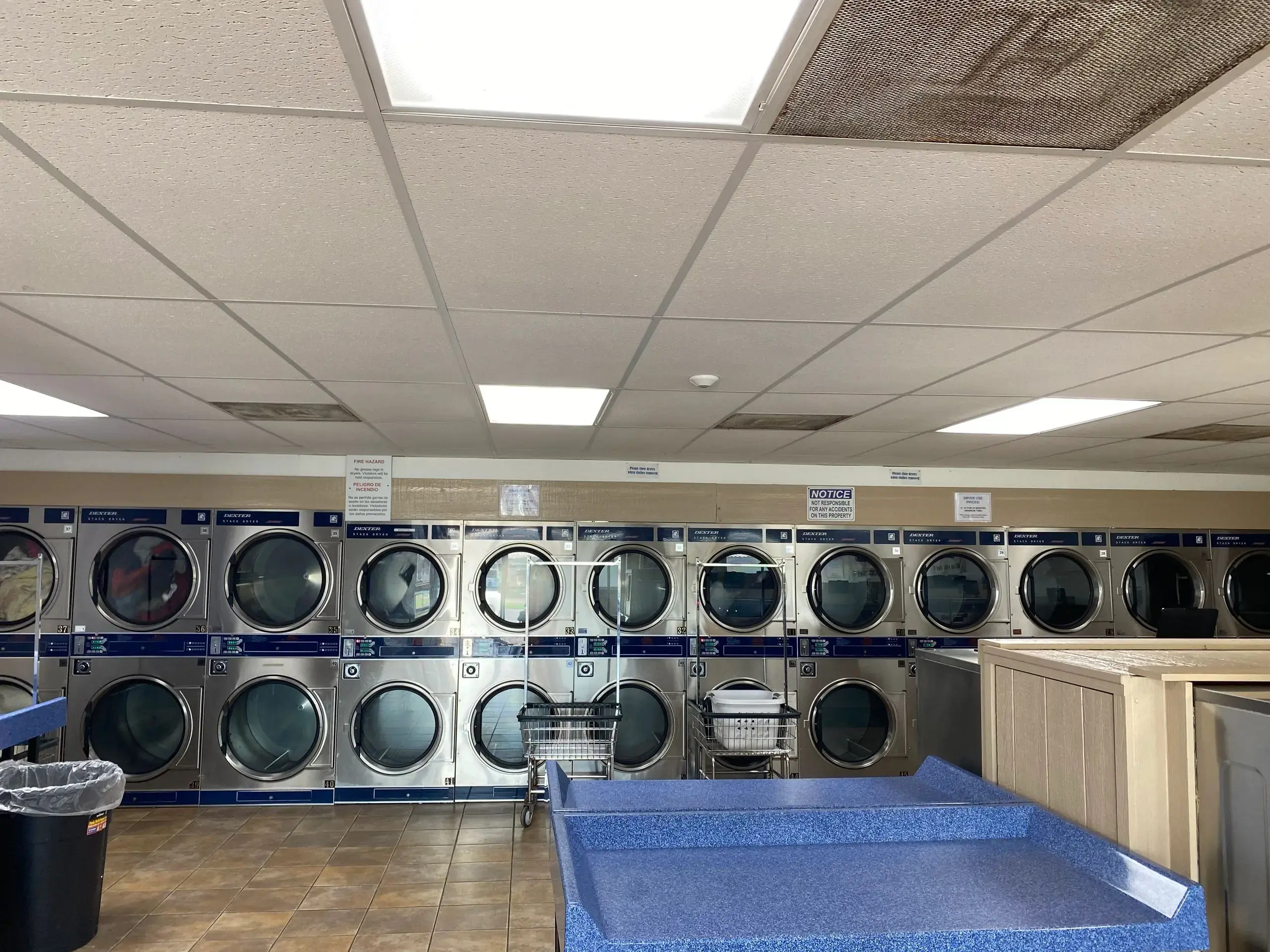 Come And Wash It - Image 10