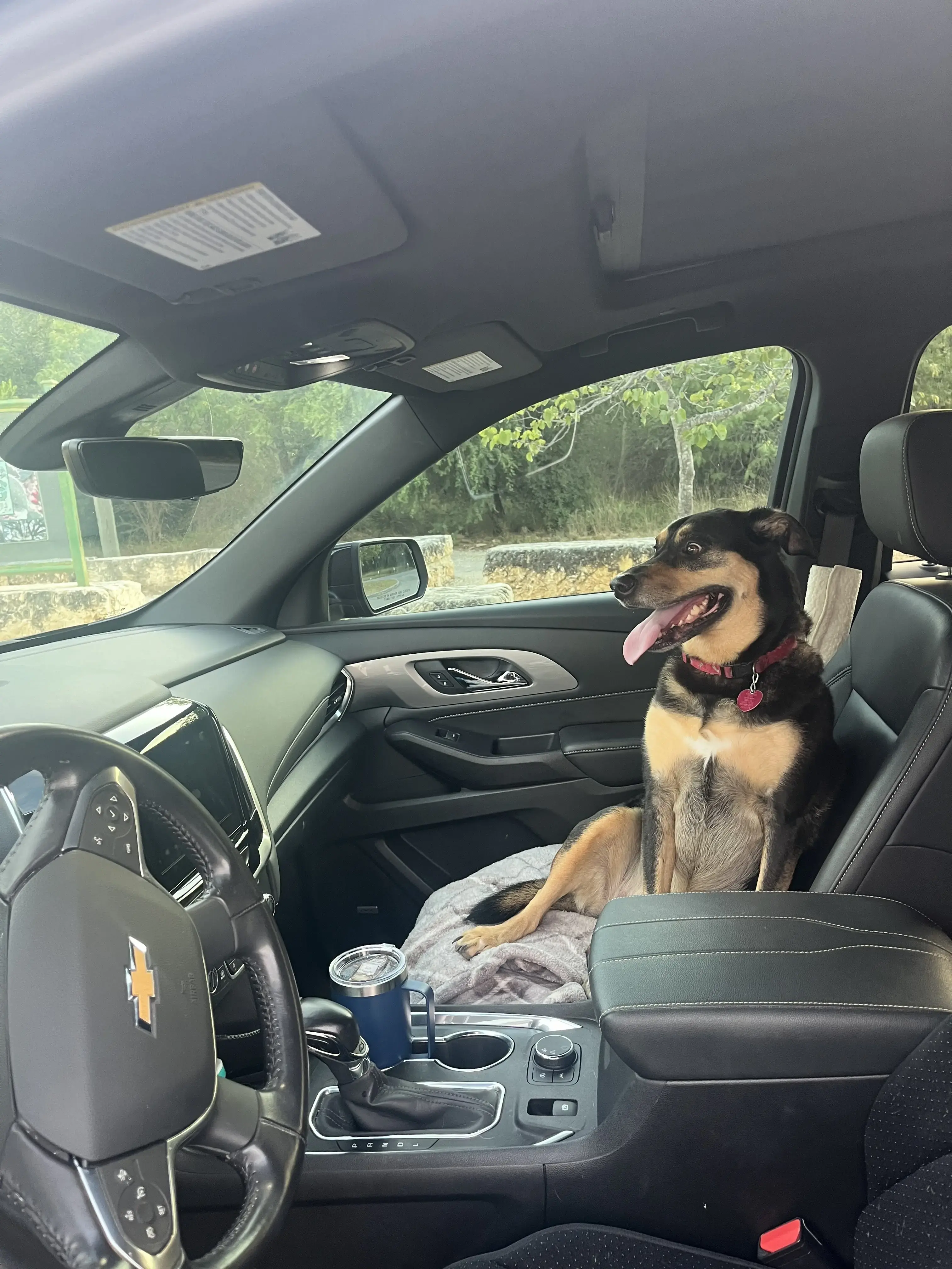 Comet Cleaners and Laundry San Antonio thumbnail 2