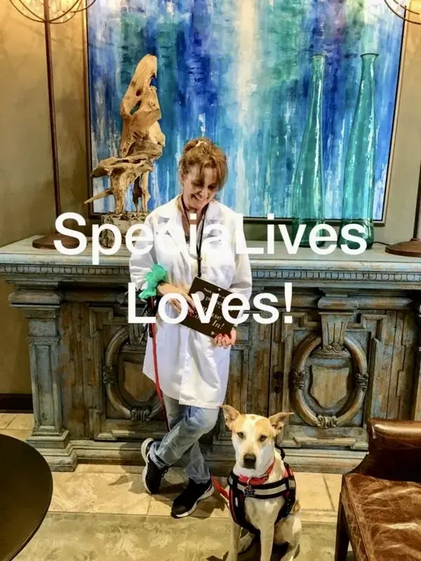 Comet Cleaners and Laundry San Antonio thumbnail 16