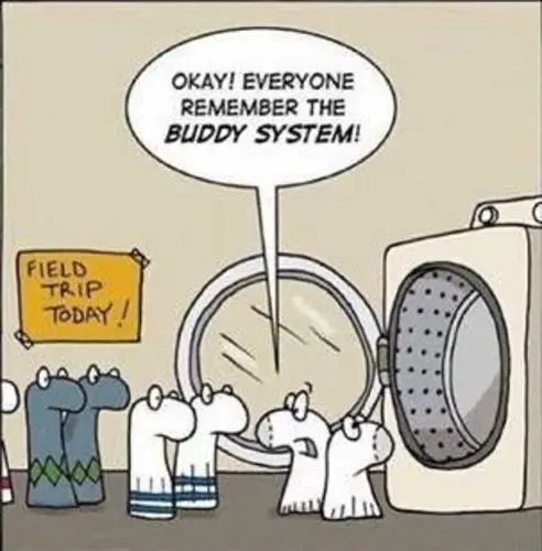 Commercial Laundries of West Florida Inc thumbnail 6