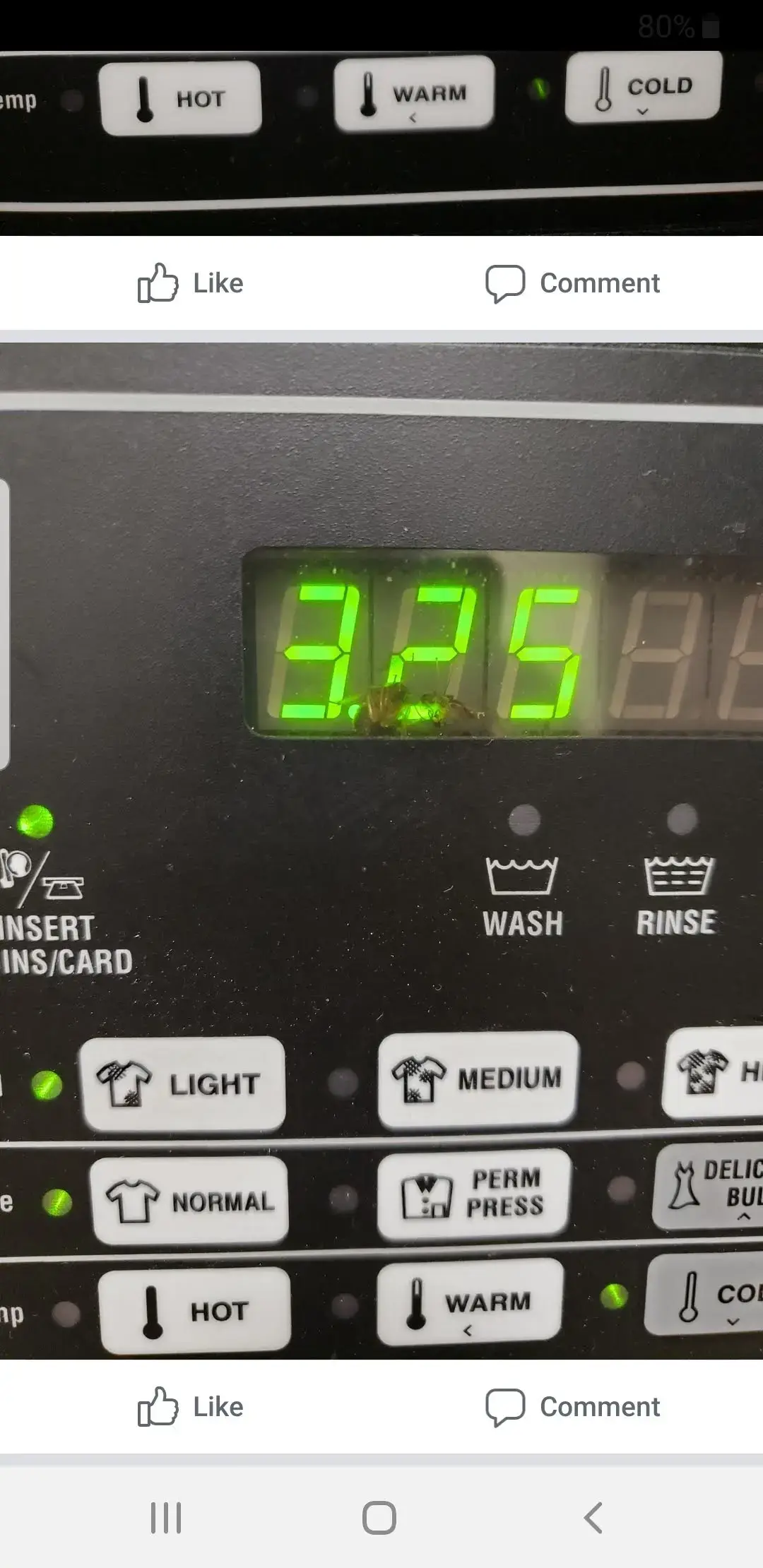 Community Laundry thumbnail 3