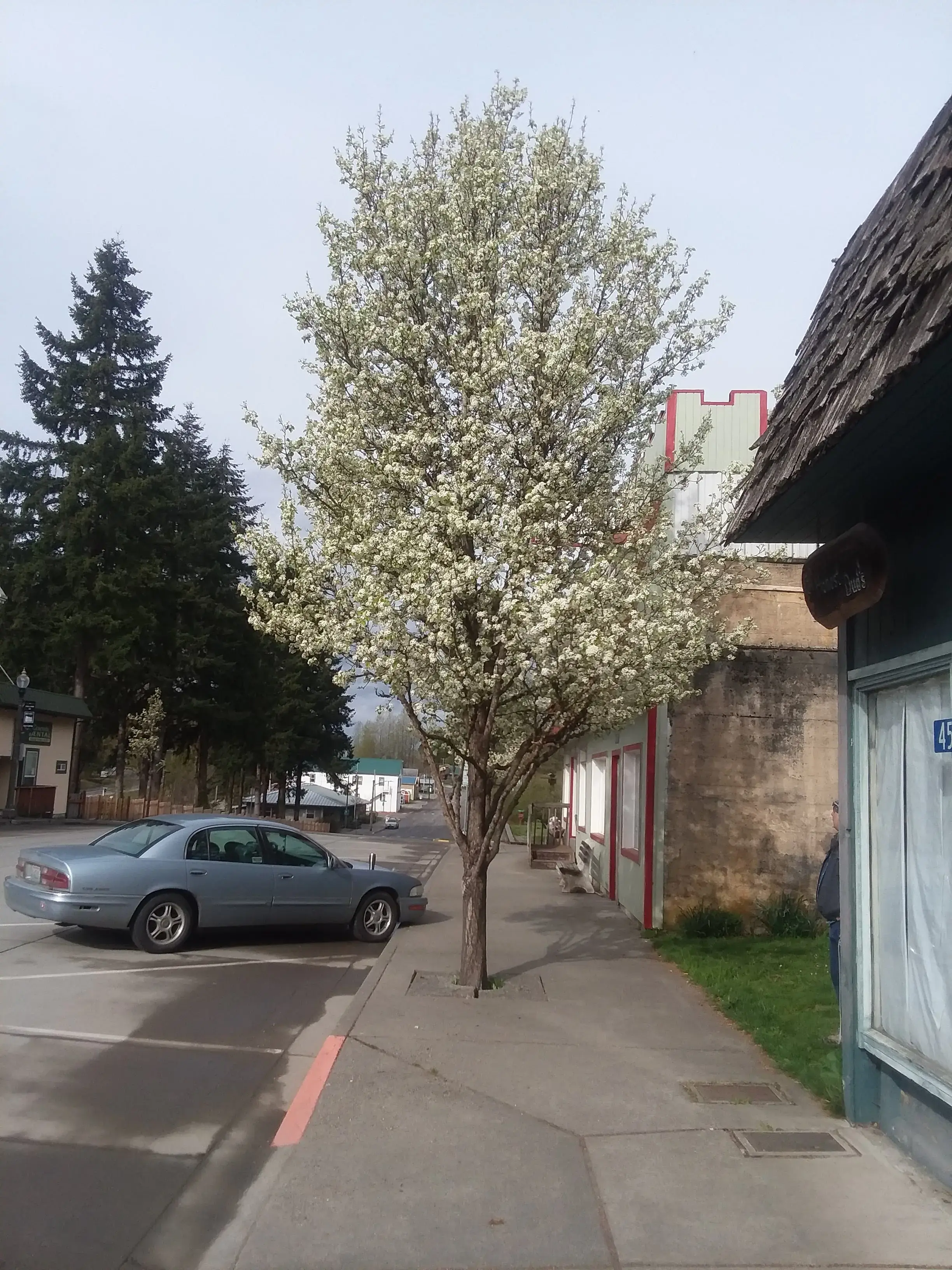 Concrete Laundromat - Image 9