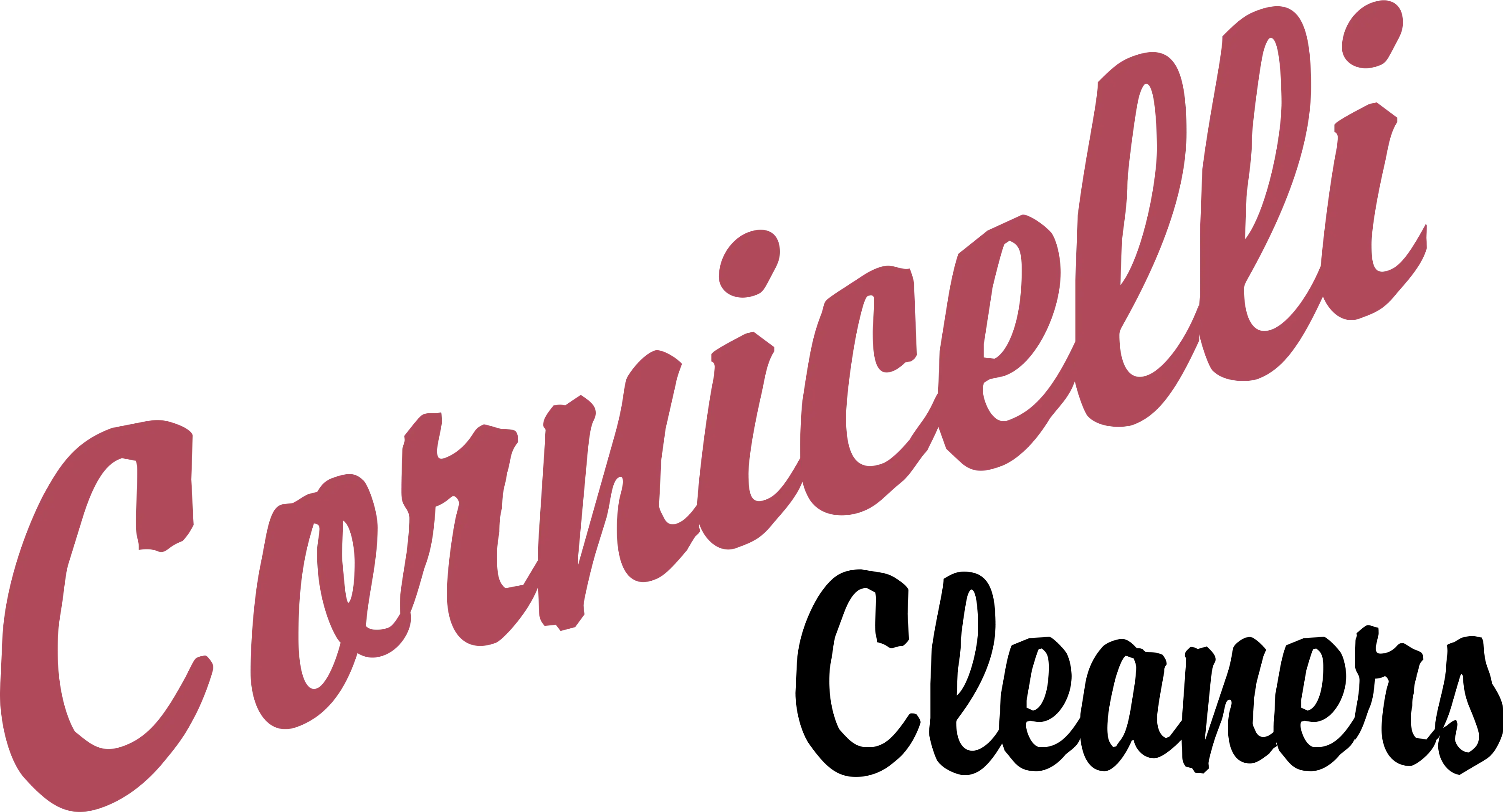 Cornicelli Cleaners - Image 11