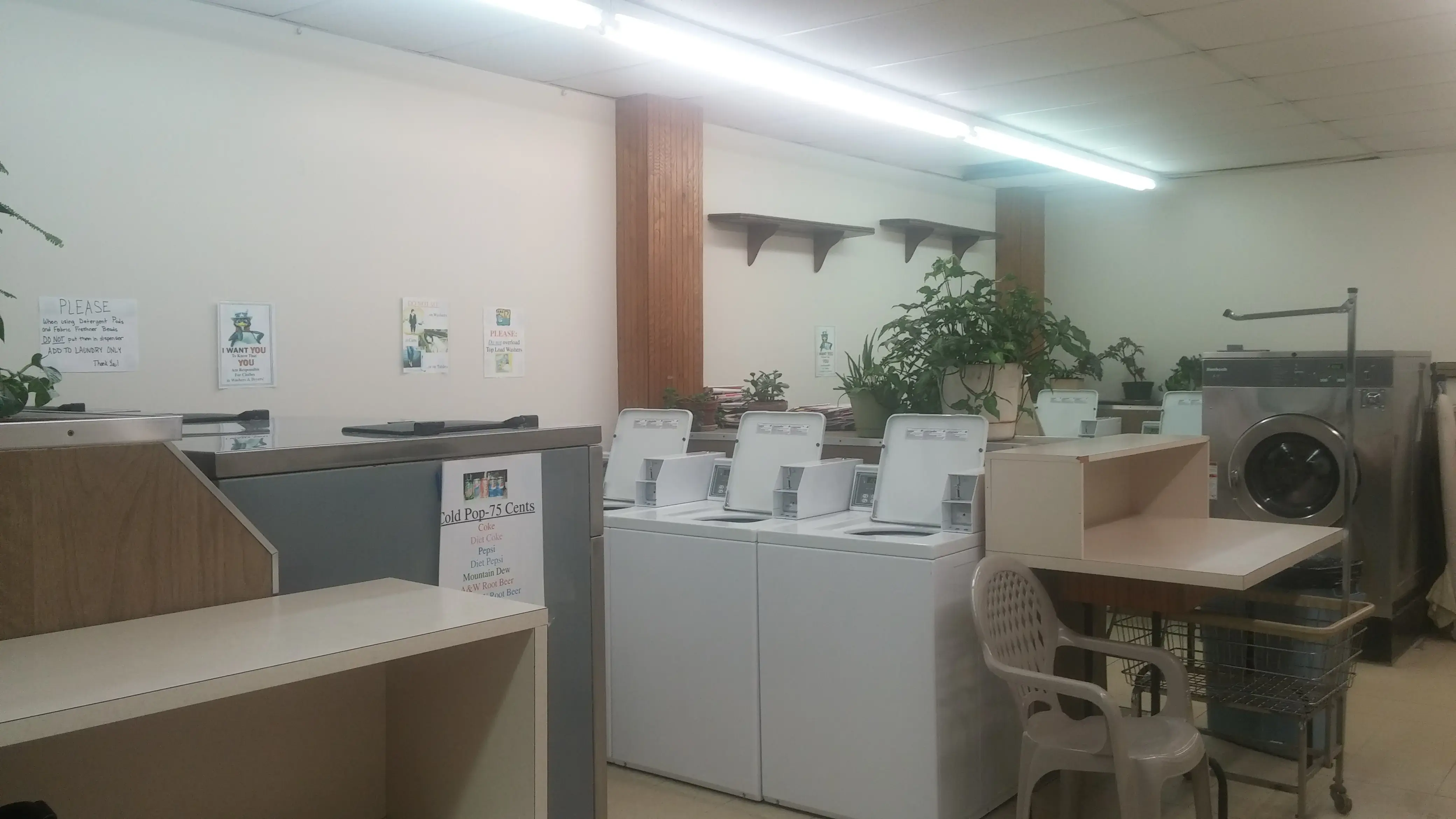 Council Oak Laundry & Cleaner - Image 4