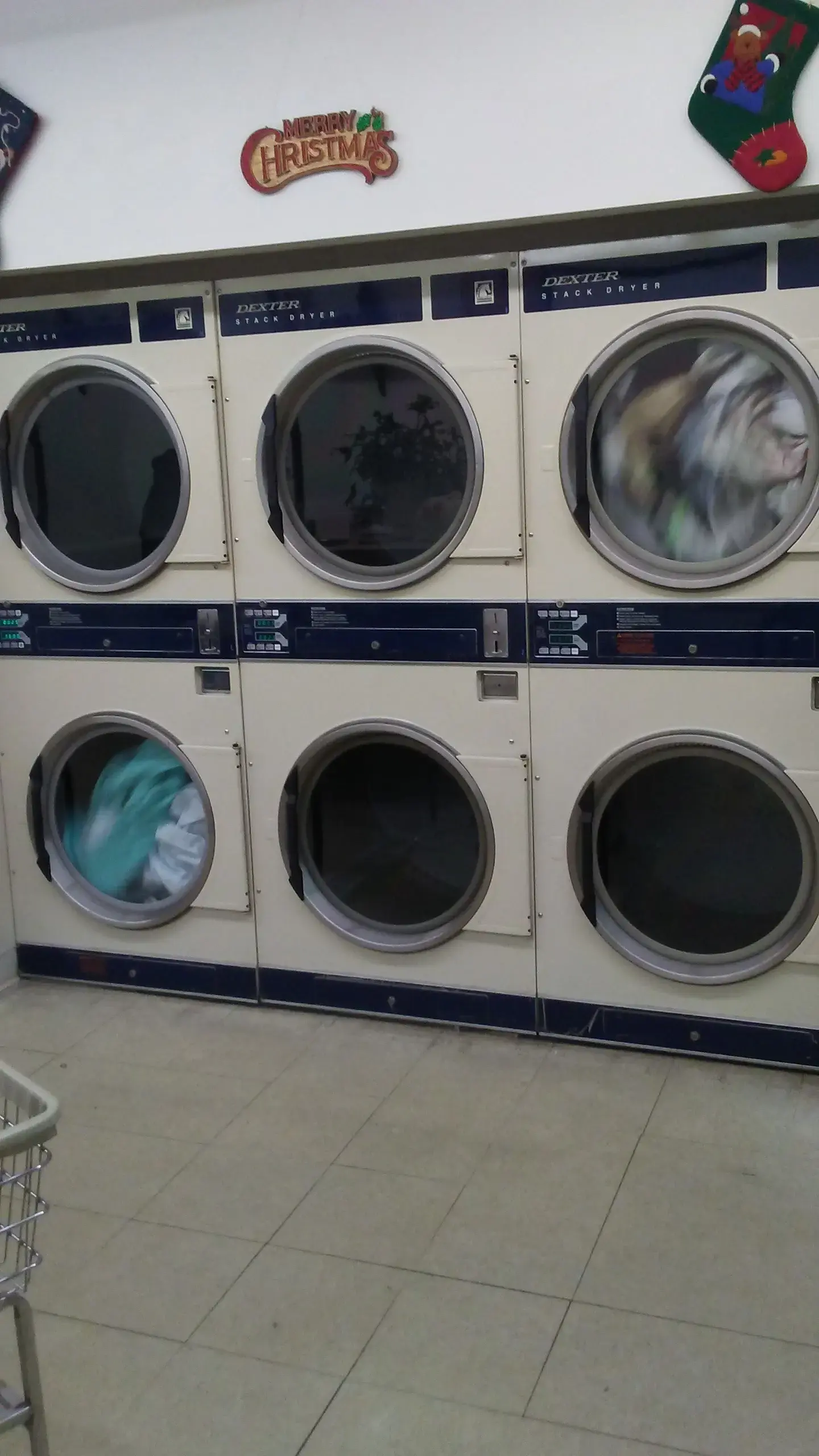 Council Oak Laundry & Cleaner - Image 6