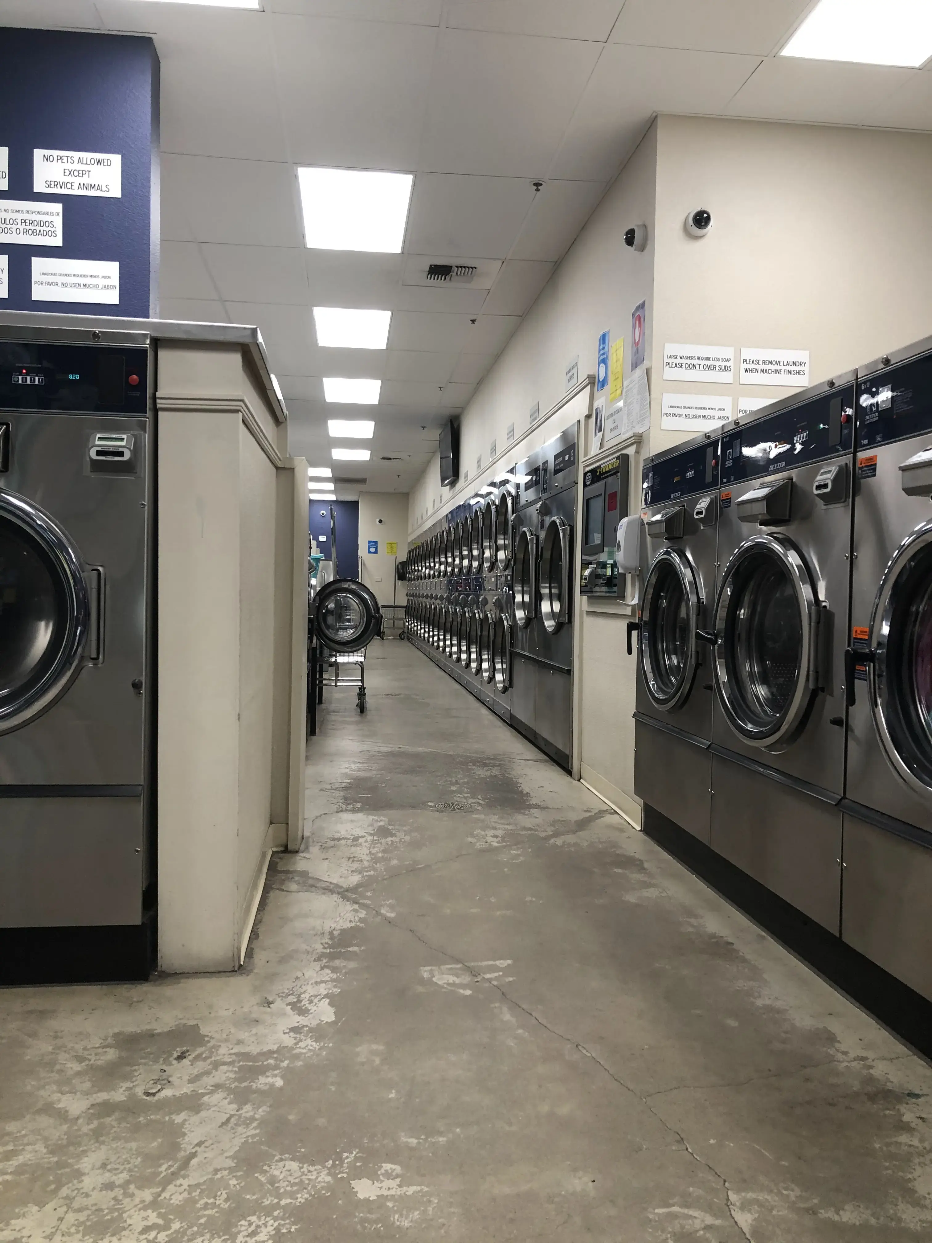 Countryside Laundromat thumbnail 10