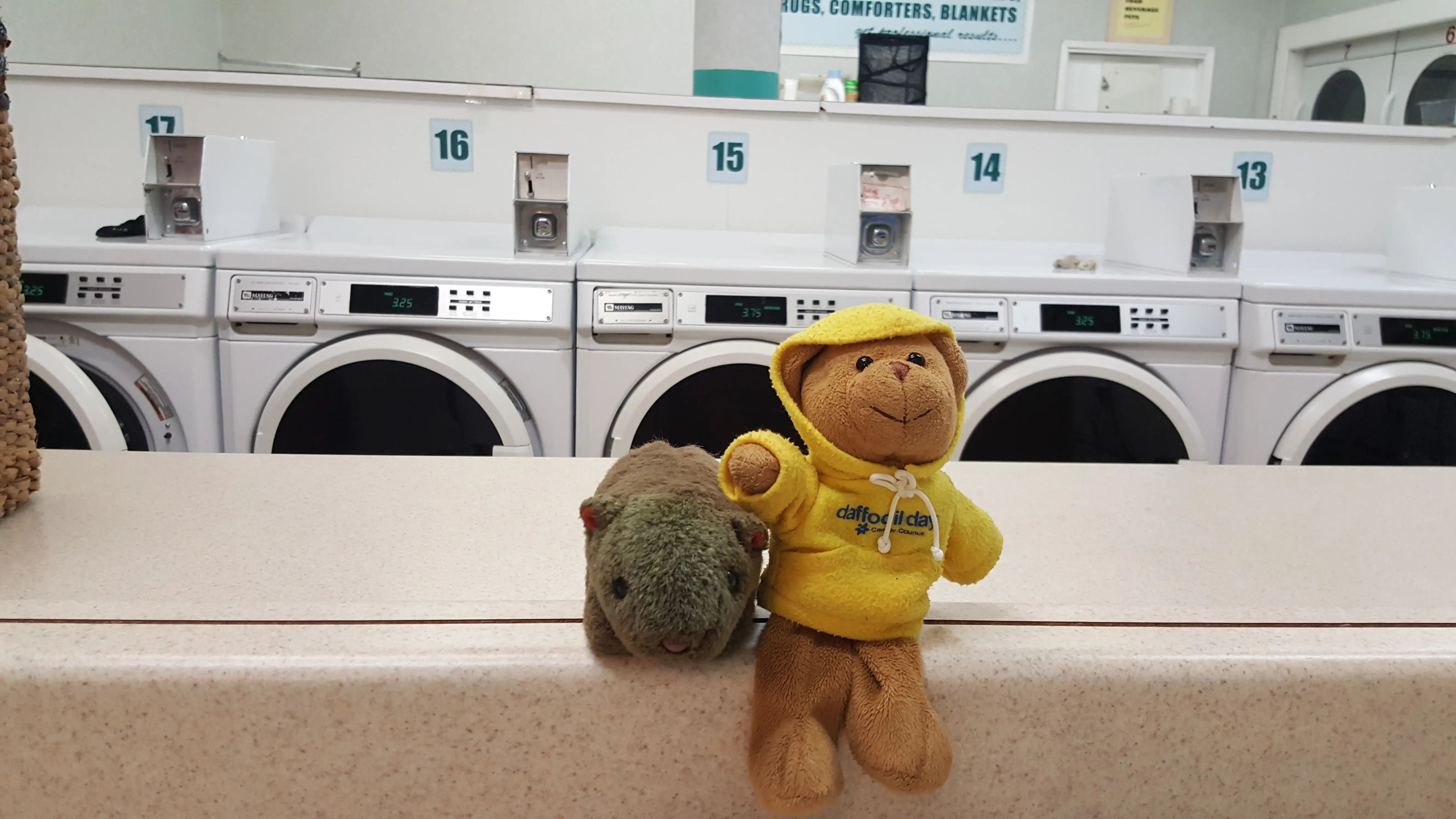 Cow Hollow Laundromat - Image 9