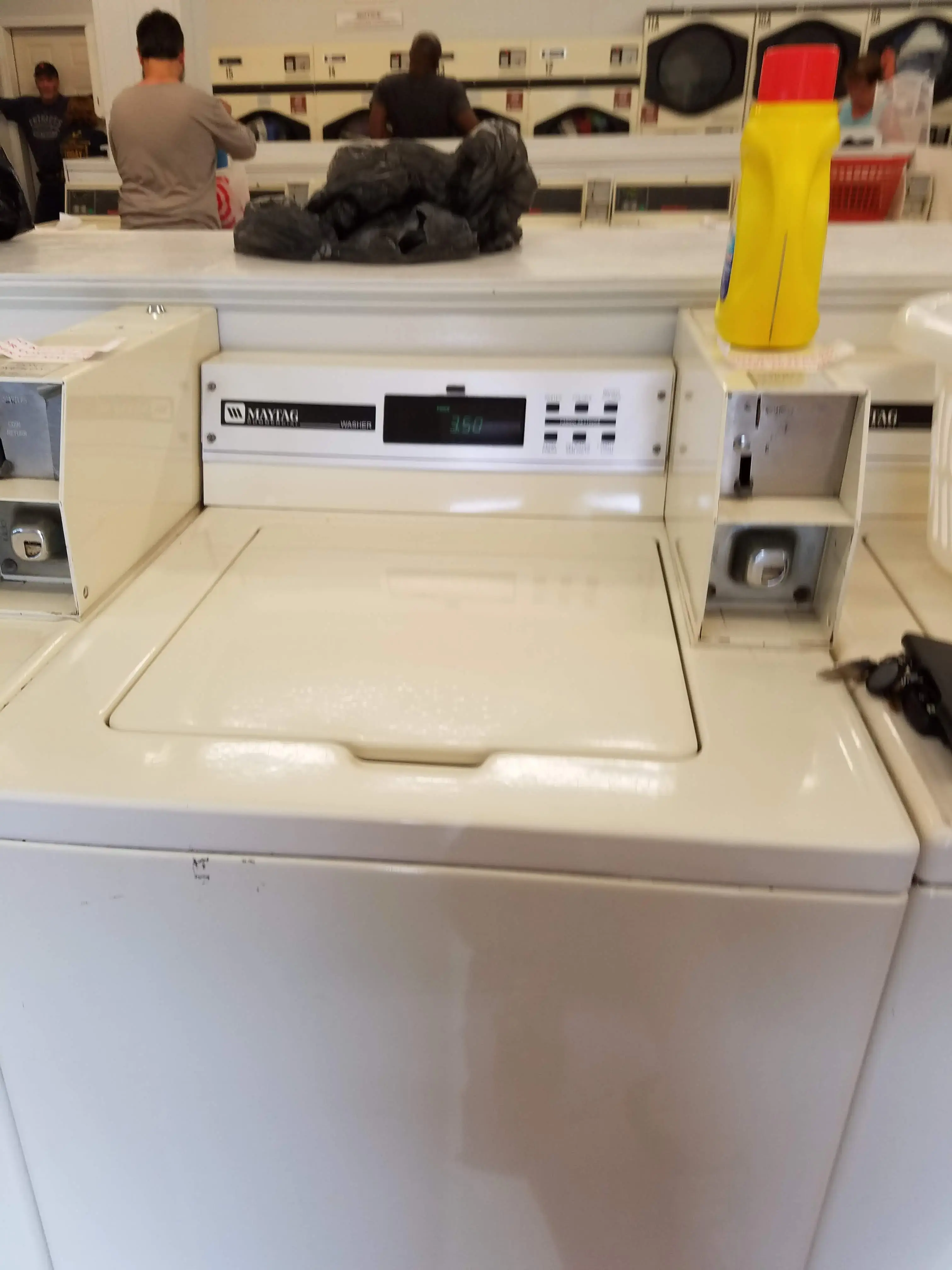 Cranberry Laundry - Image 8