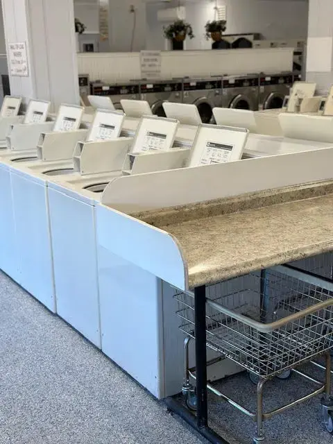 Cranberry Laundry - Image 4