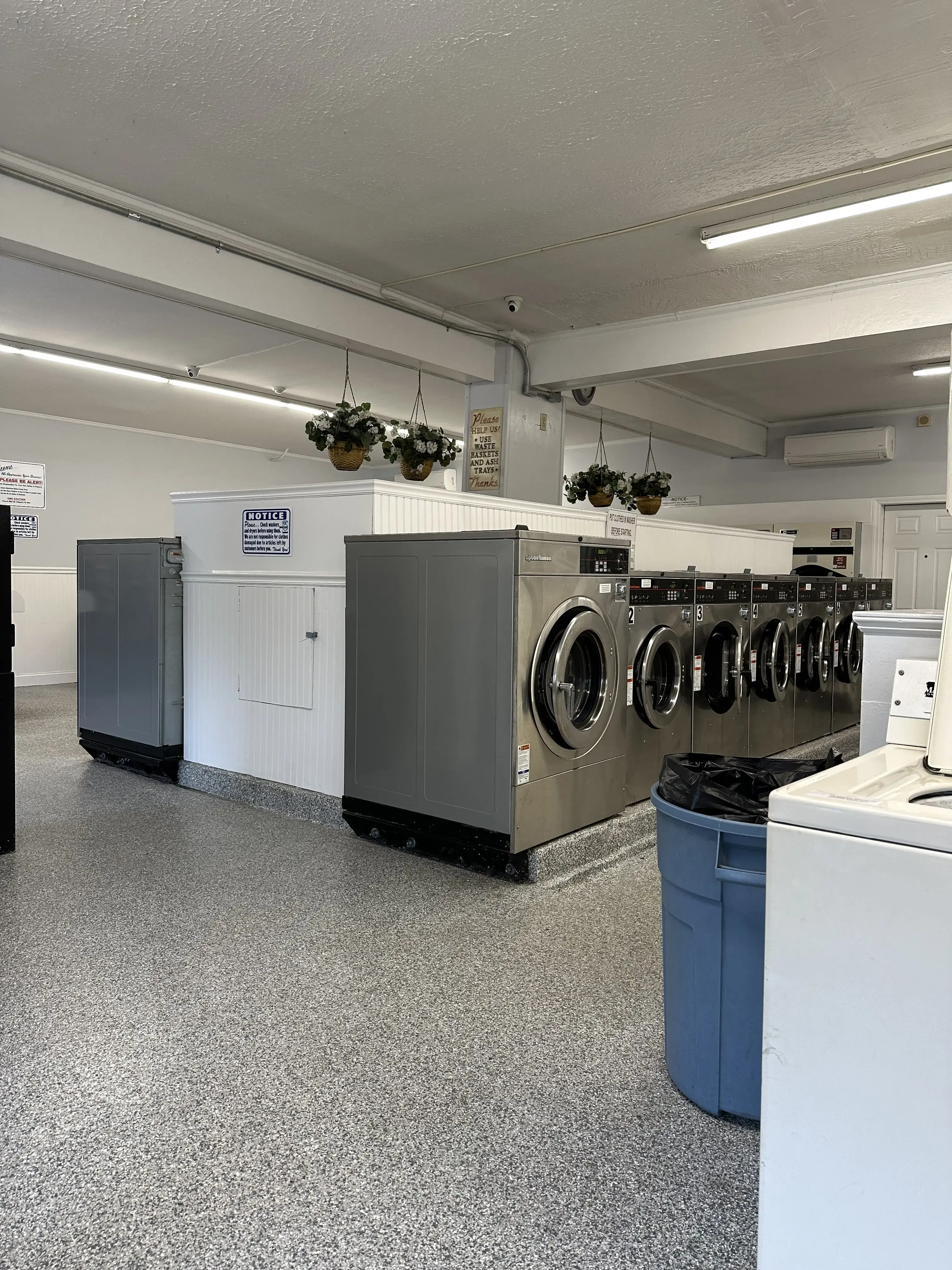 Cranberry Laundry thumbnail 14